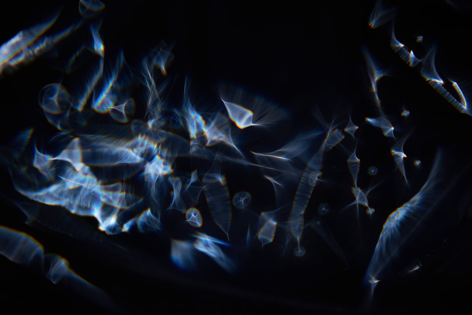 Что такое абстрактная фотография?. Sandra Marselly | Абстрактная Макро-Фотография