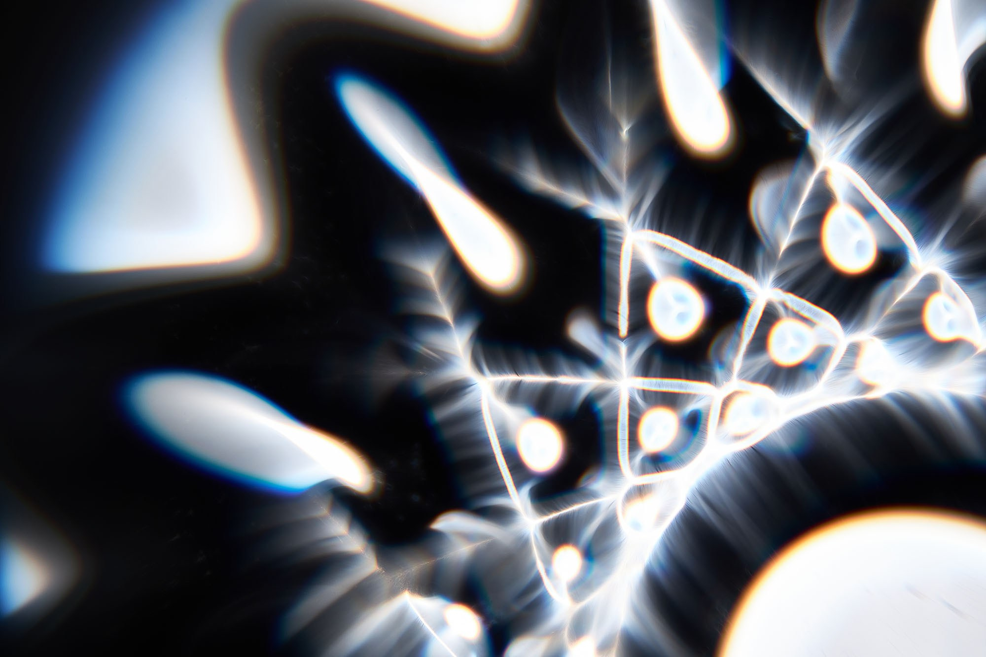 Приобрести макро-абстракцию | Арт-фотография. Sandra Marselly | Абстрактная Макро-Фотография