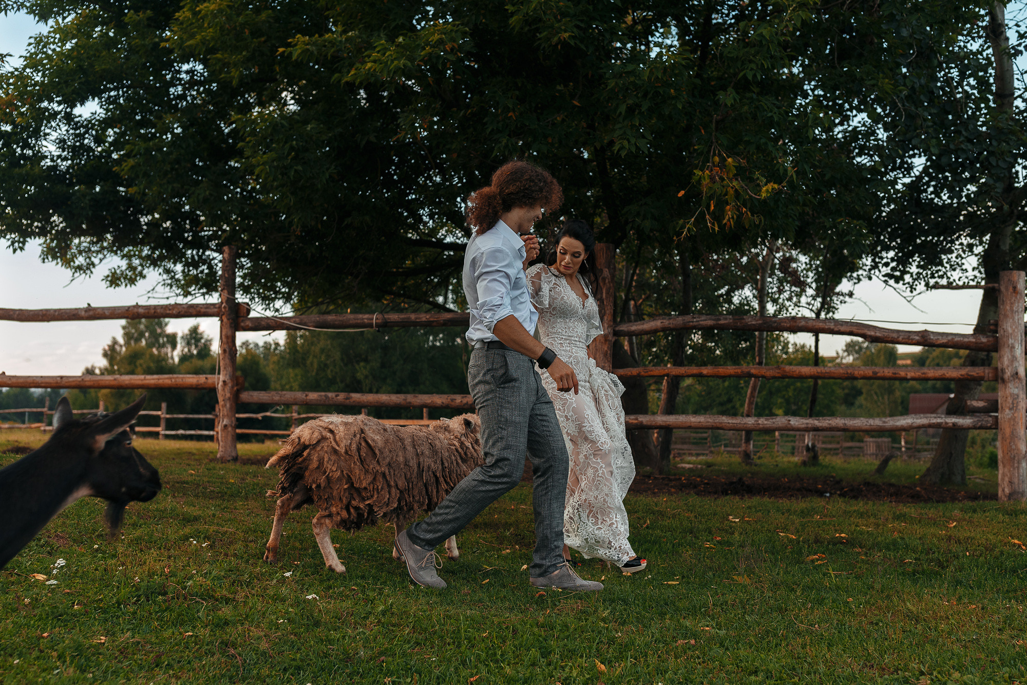 Фотосессия прекрасной пары на ферме среди лошадей