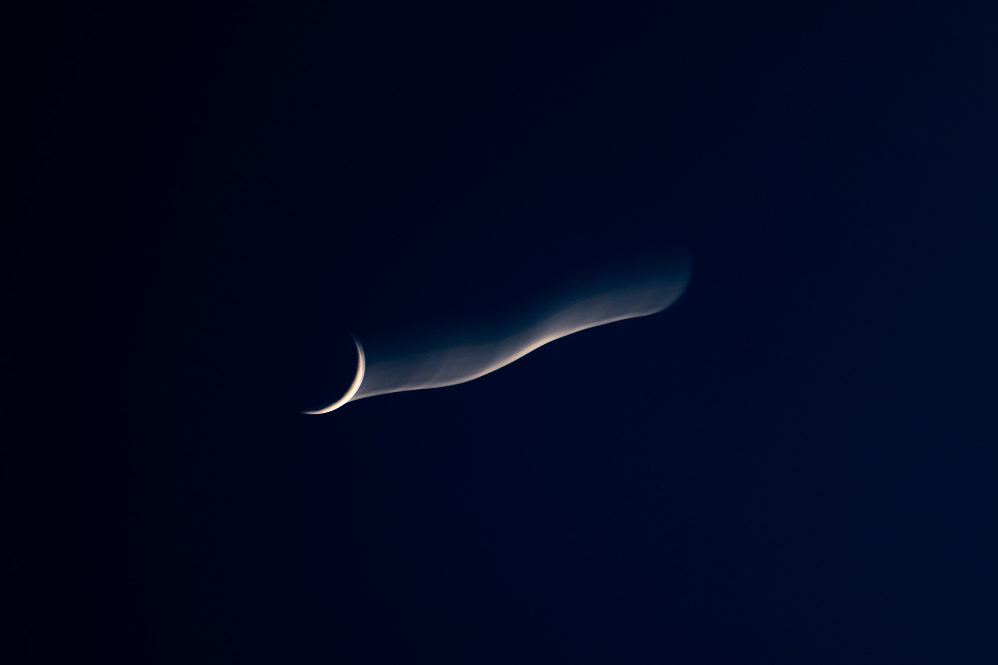 Фотокартина украсит интерьер и подойдет в подарок, купить можно в галереи Repotage. 