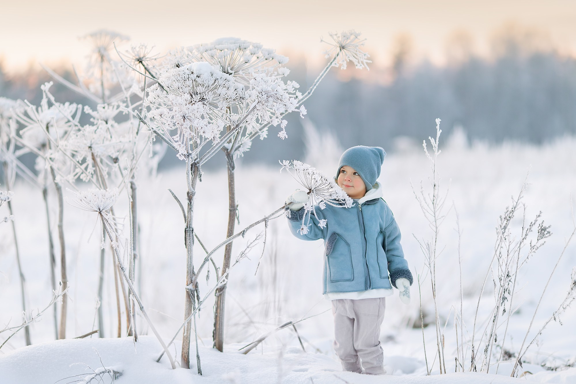 Обучение. Детский и семейный фотограф в Санкт-Петербурге Ольга Стырова