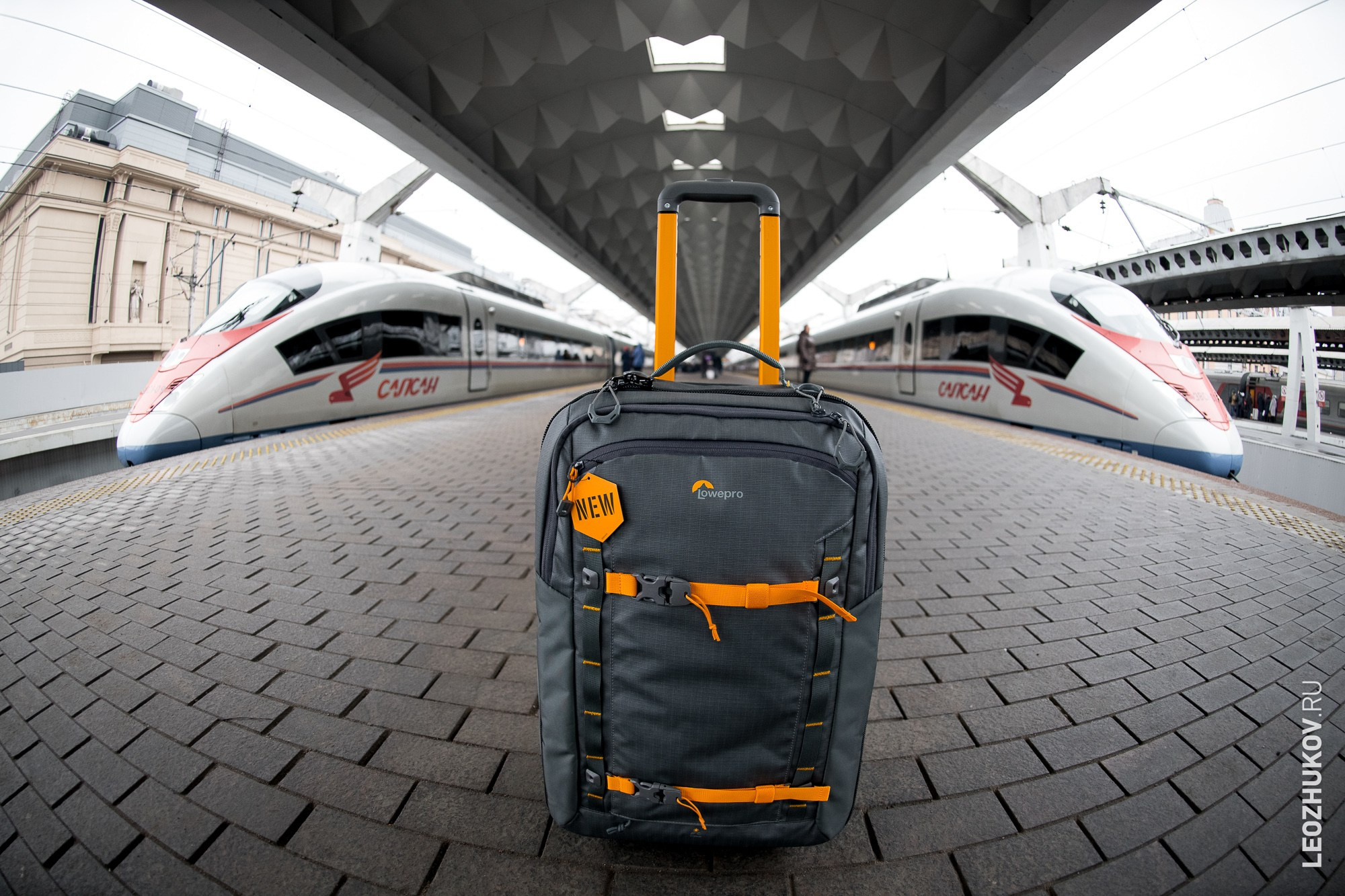 Фотосумка на колёсах Lowepro Whistler. Спортивный фотограф Леонид Жуков