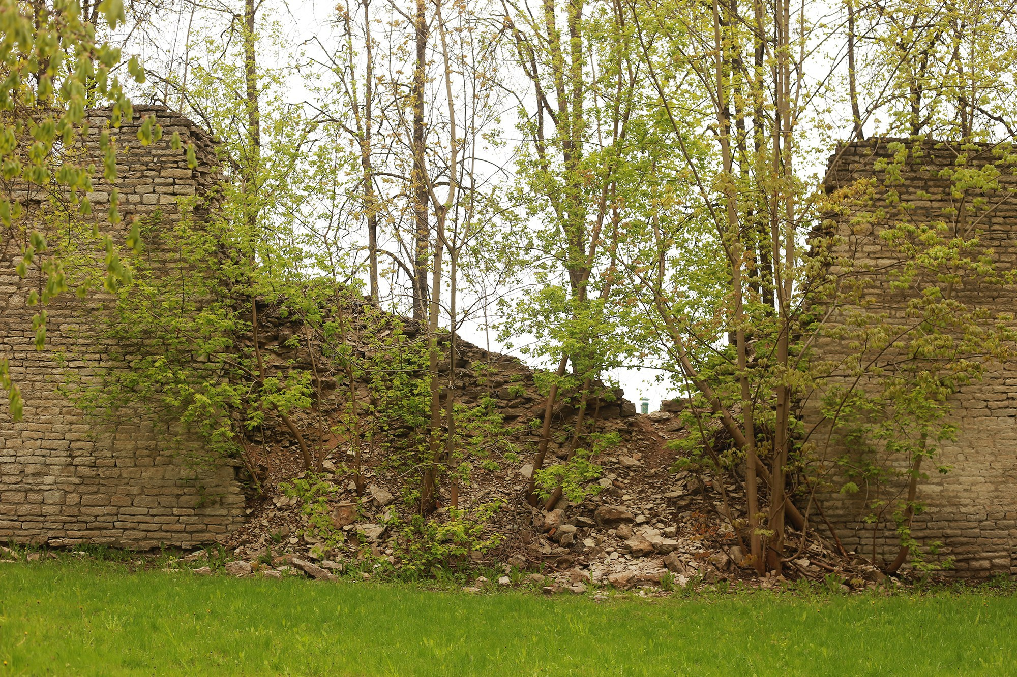 Старенькие дети: Лариса. Юлия Алтухова, мультимедиа художница