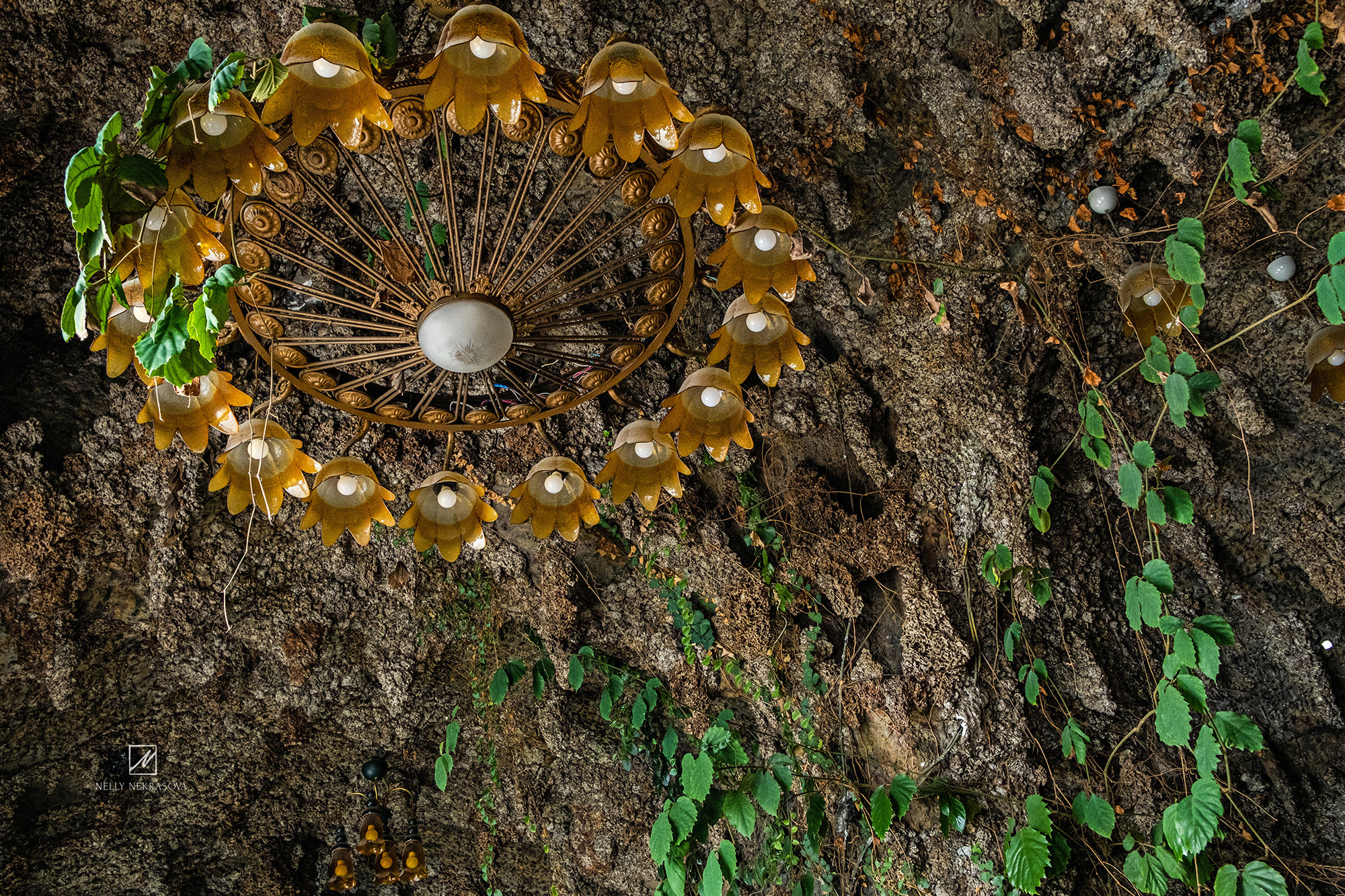 Дом Ушковой в Казани. Фотограф и искусствовед в Туле и Санкт-Петербурге Нелли Некрасова