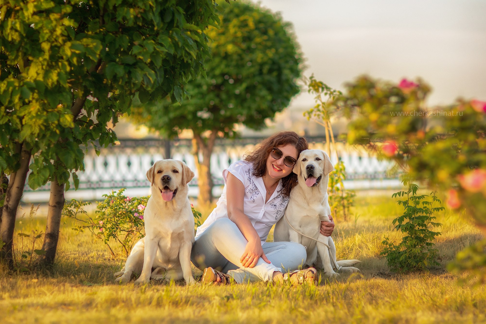 Для клиентов. Фотограф для Вашей собаки