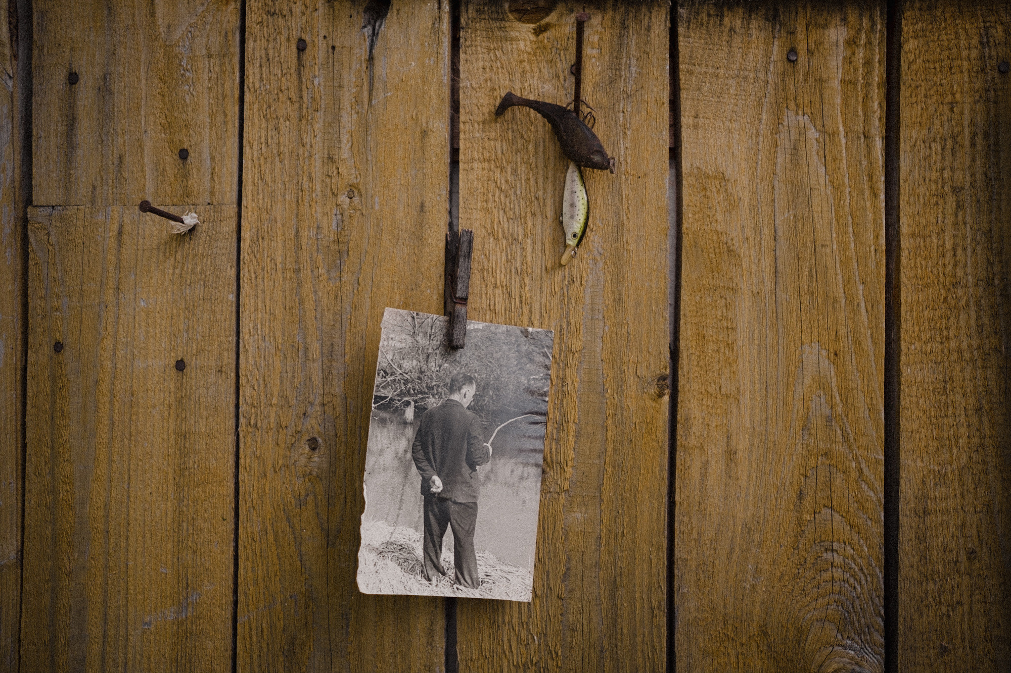 Another swallow | ongoing. Nasti Davydova