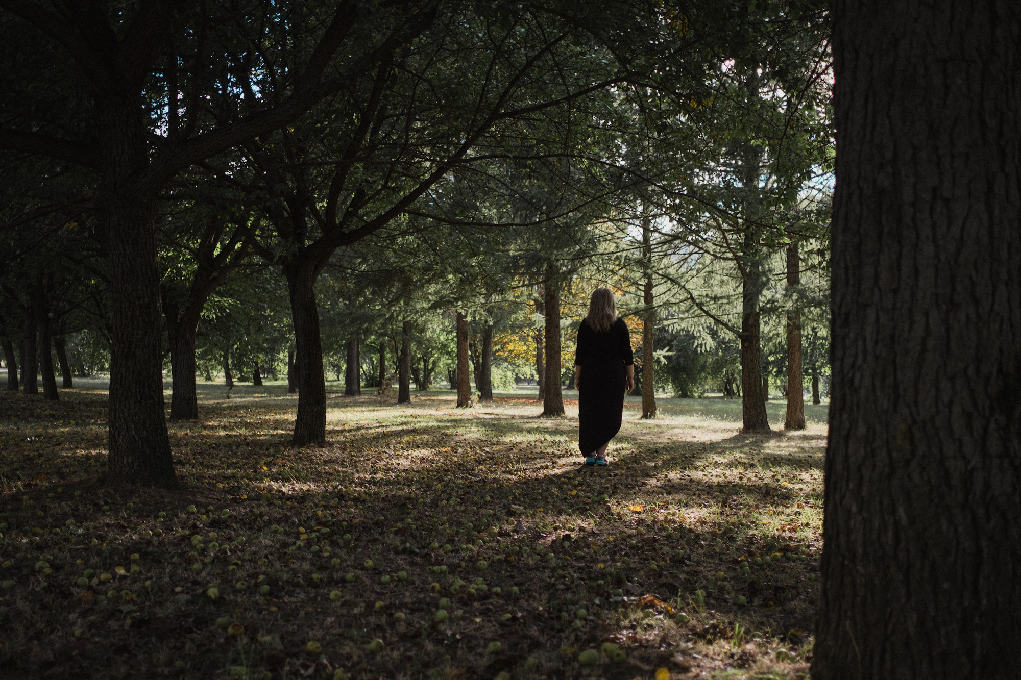 Another swallow | ongoing. Nasti Davydova