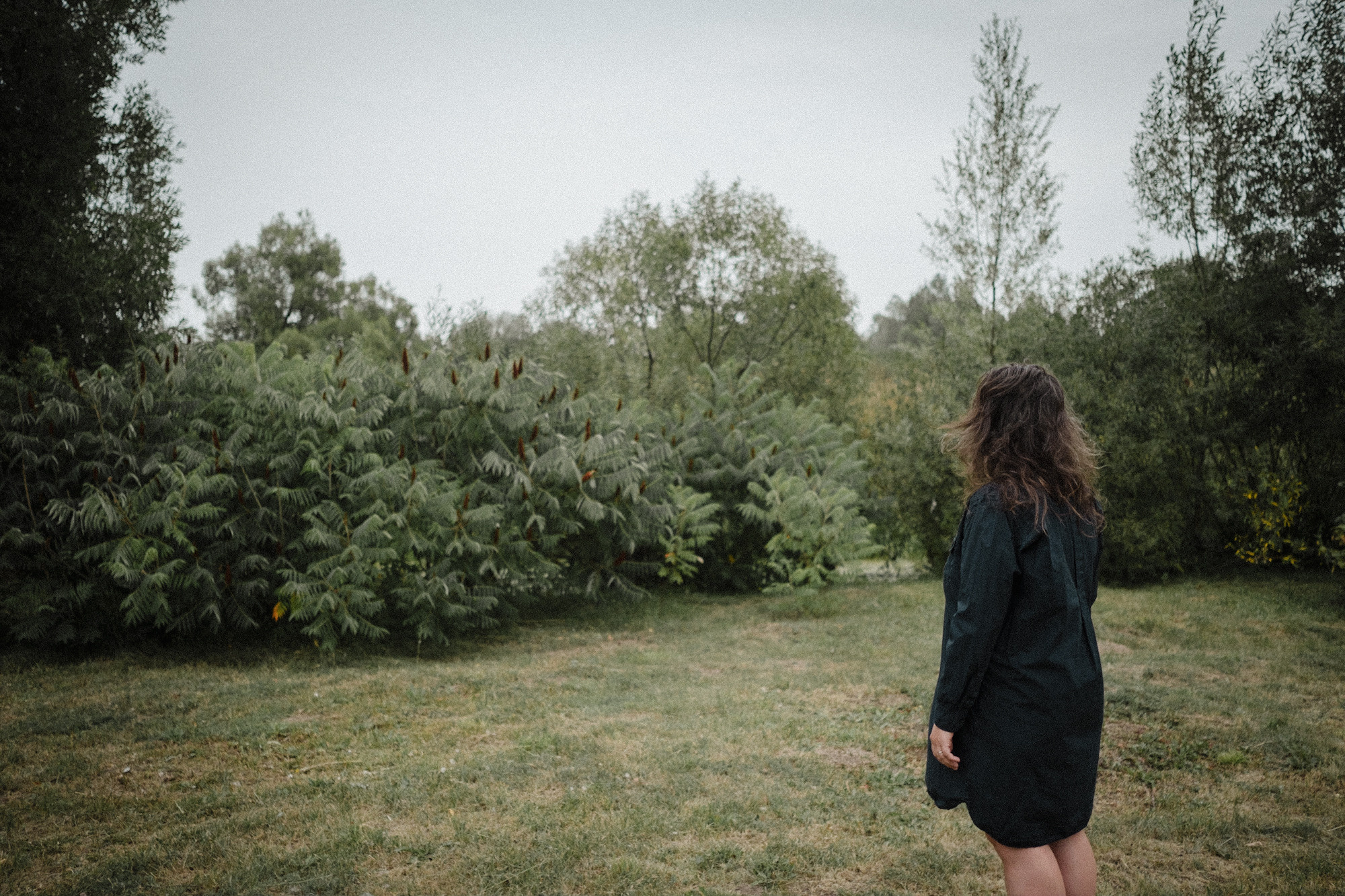 Another swallow | ongoing. Nasti Davydova