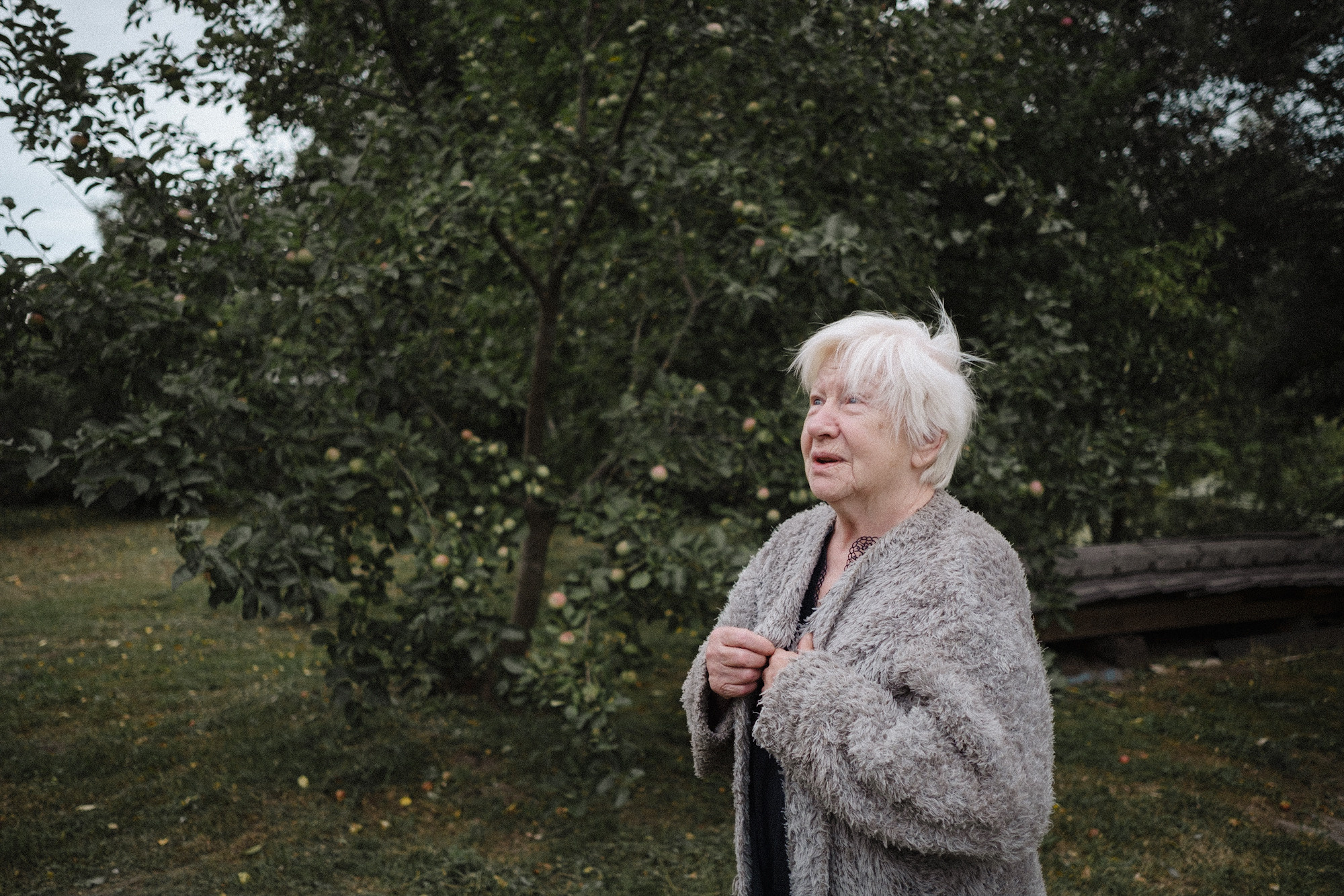 Another swallow | ongoing. Nasti Davydova