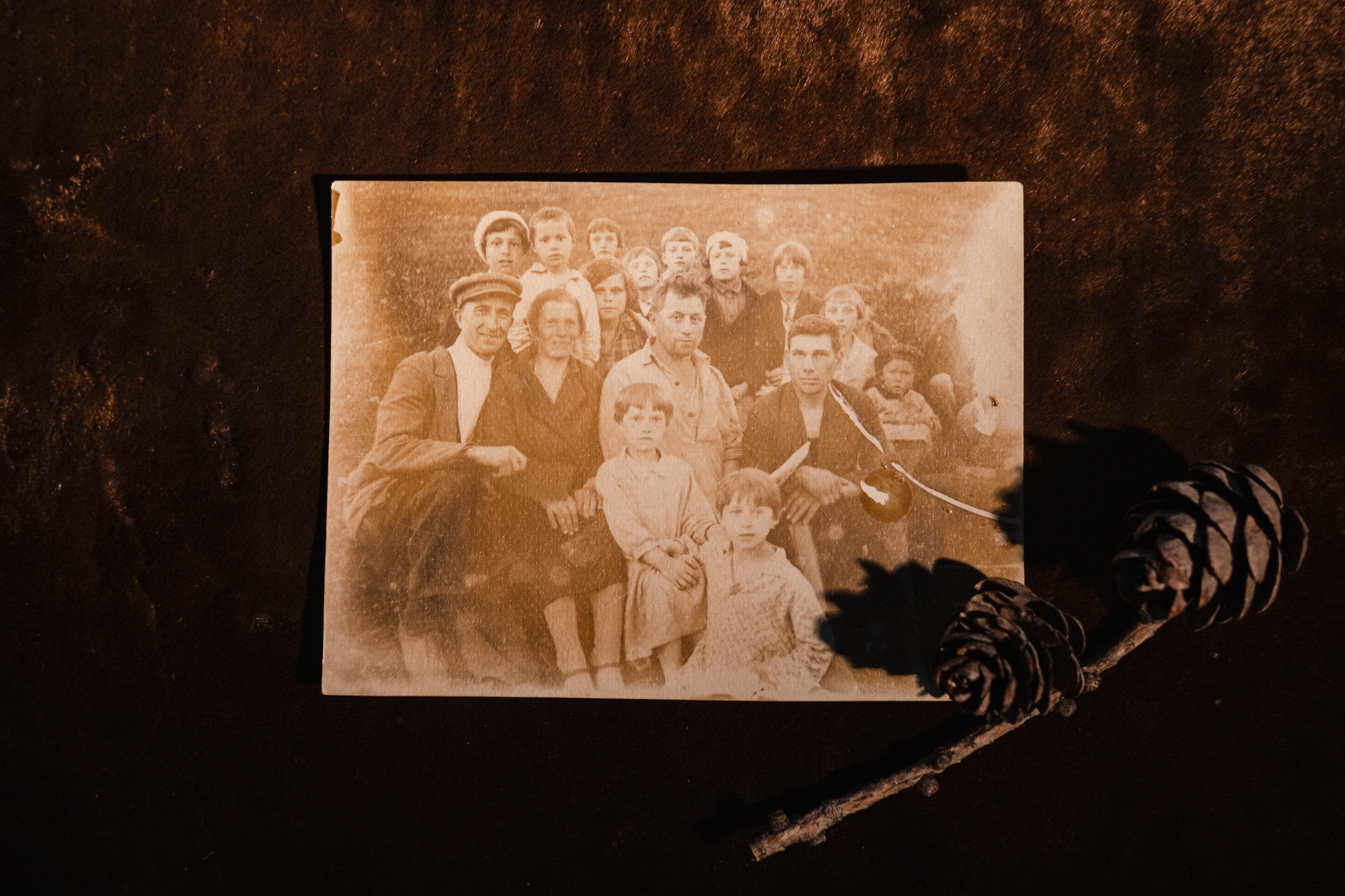 Another swallow | ongoing. Nasti Davydova