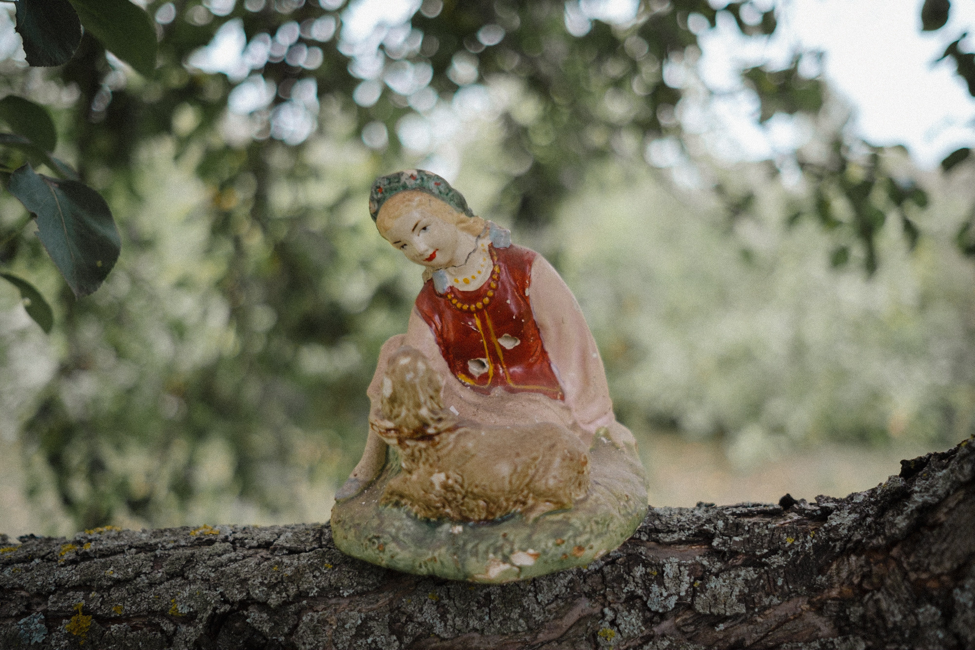 Another swallow | ongoing. Nasti Davydova