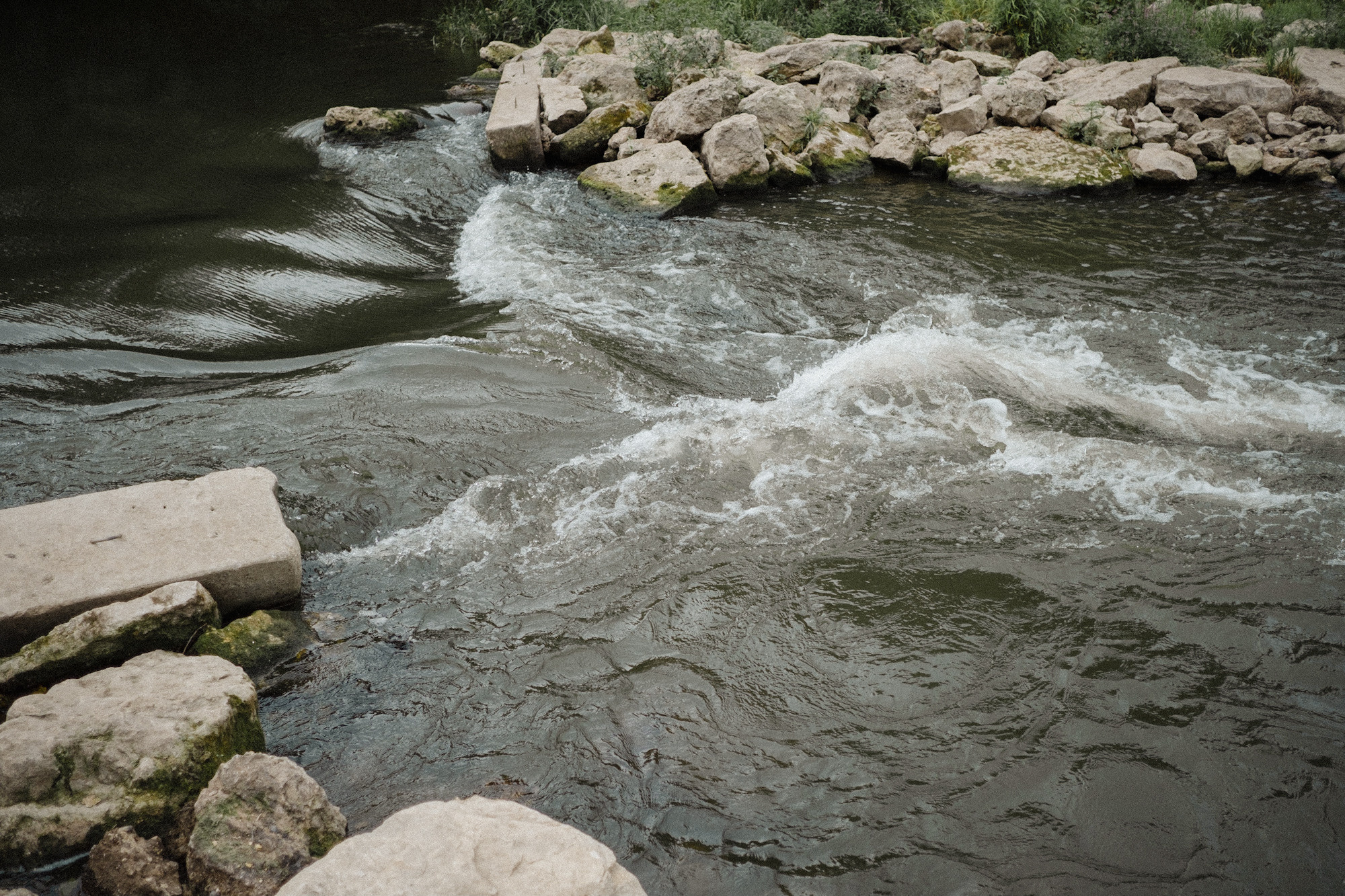 Another swallow | ongoing. Nasti Davydova