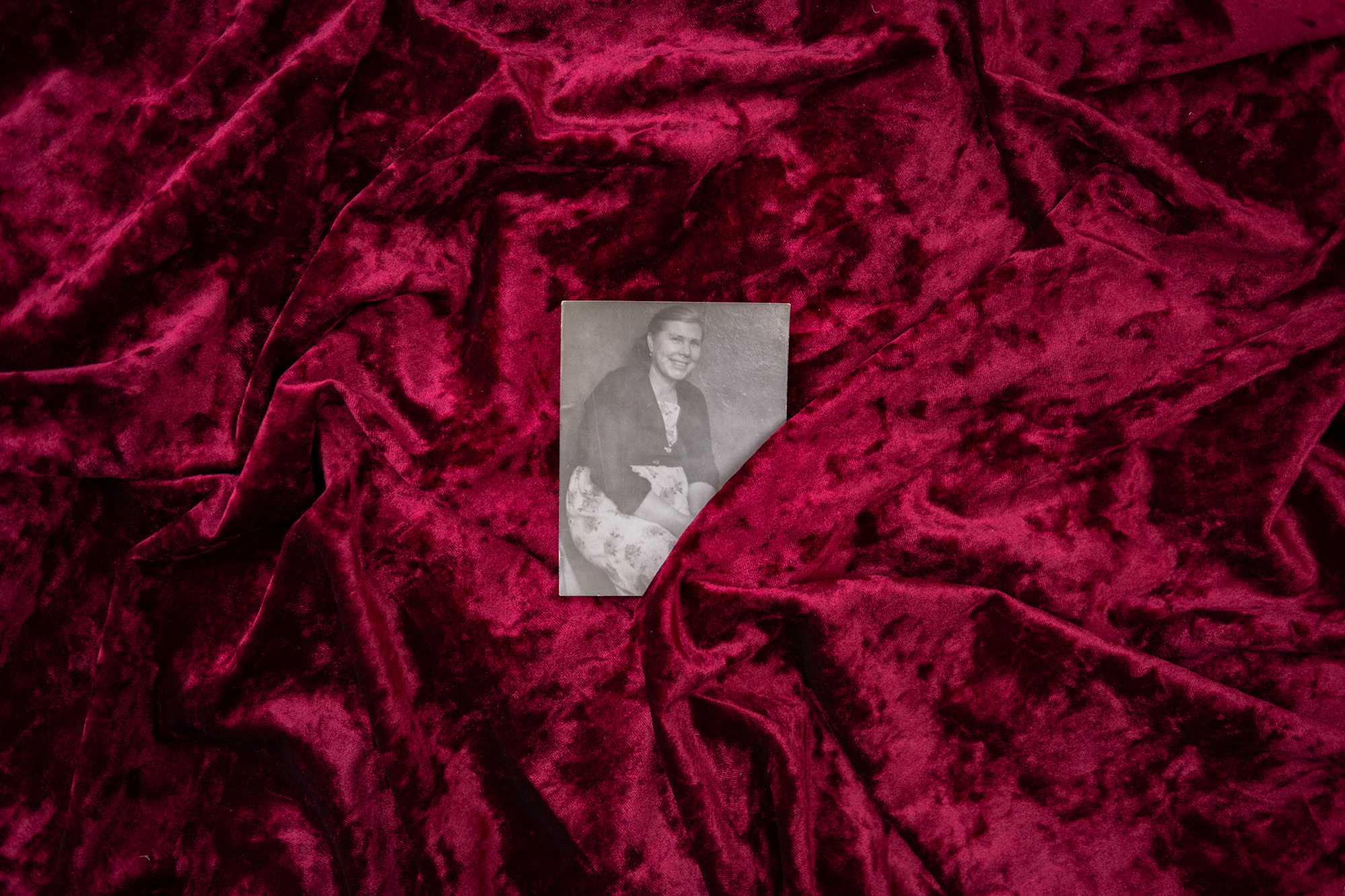 Another swallow | ongoing. Nasti Davydova