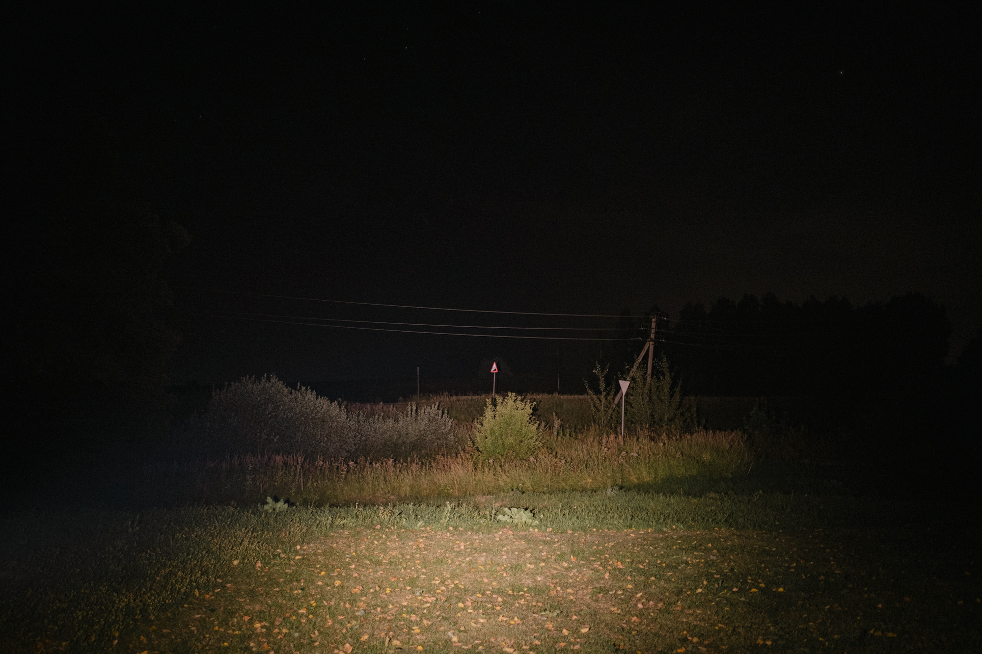 Another swallow | ongoing. Nasti Davydova