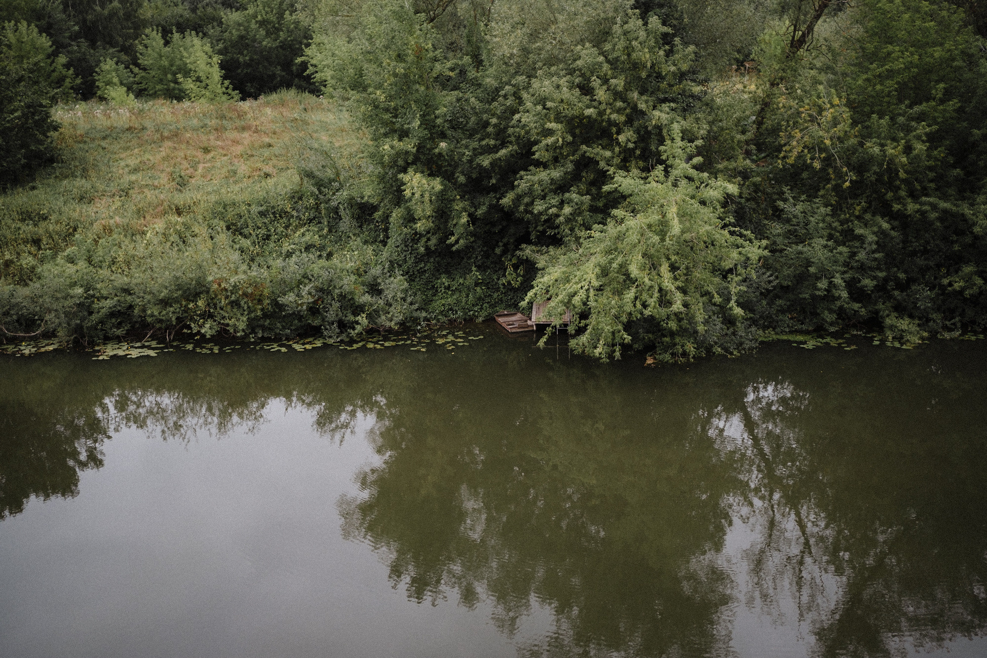 Another swallow | ongoing. Nasti Davydova