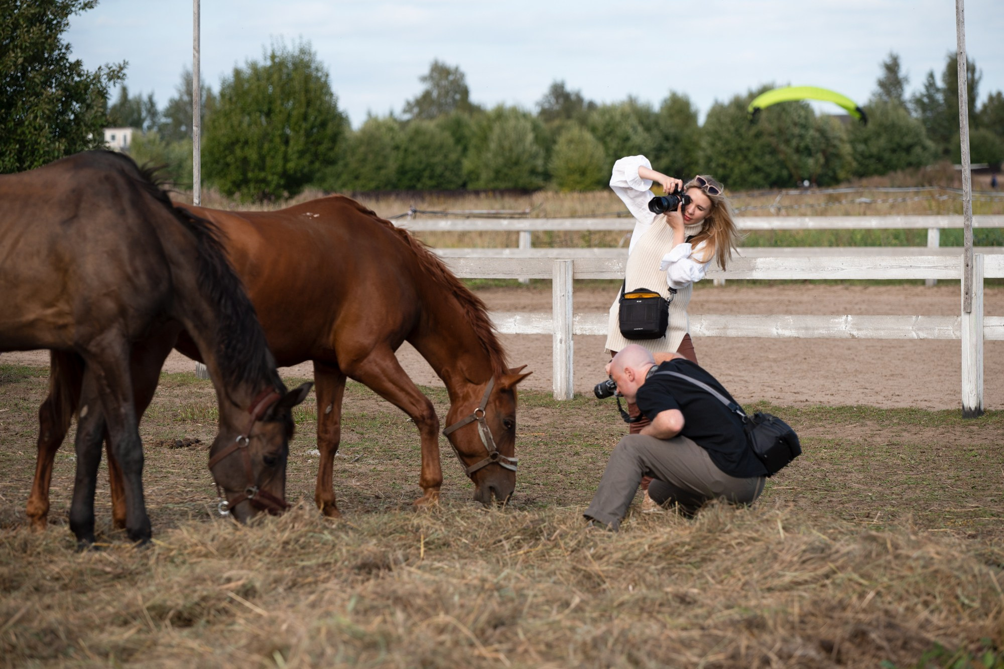 Обучение фотографии, фотокурсы, фотошкола, преподаватель, конная фотография, мастер класс, воркшоп, съемка лошадей, фото курсы, учиться фотографии, фотография для начинающих, настройки камеры, курсы по фотографии, Обучение Для фотографов,  теоретические основы и практика навыков, обработка и продвижение. Наставничество для фотографов. Индивидуальное обучение фотографии