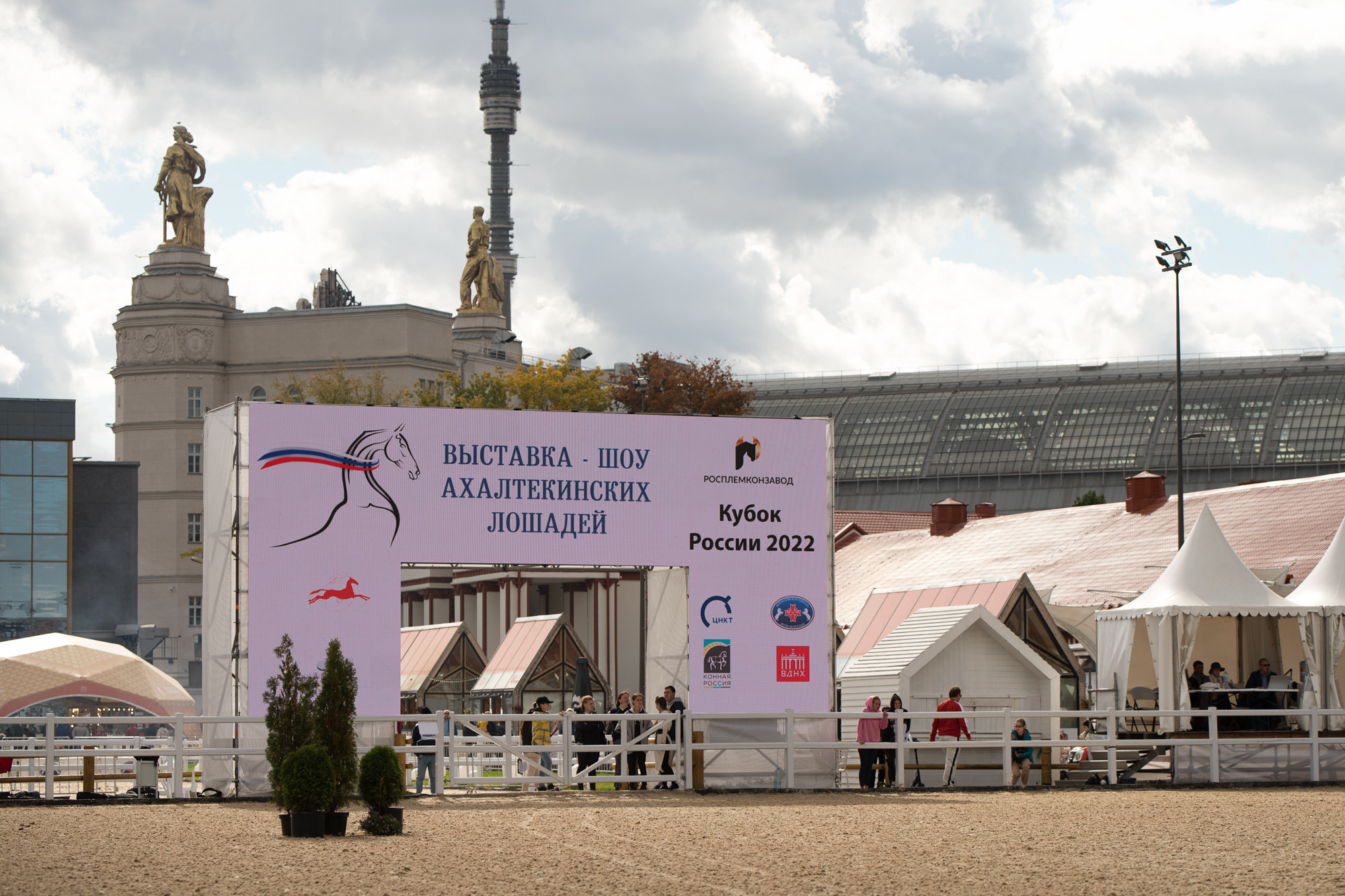 фотограф, фотовыставка, фотограф в СПб, питер фотограф, конный фотограф, съемка лошадей, конная фотография, профессиональный фотограф, фото лошадей, портреты лошадей, фото с лошадьми, заказать съемку лошади, авторские фотографии, публикации в изданиях, росфото, National Geographic, фотограф питер, конный фотограф спб, фотограф санкт-петербург