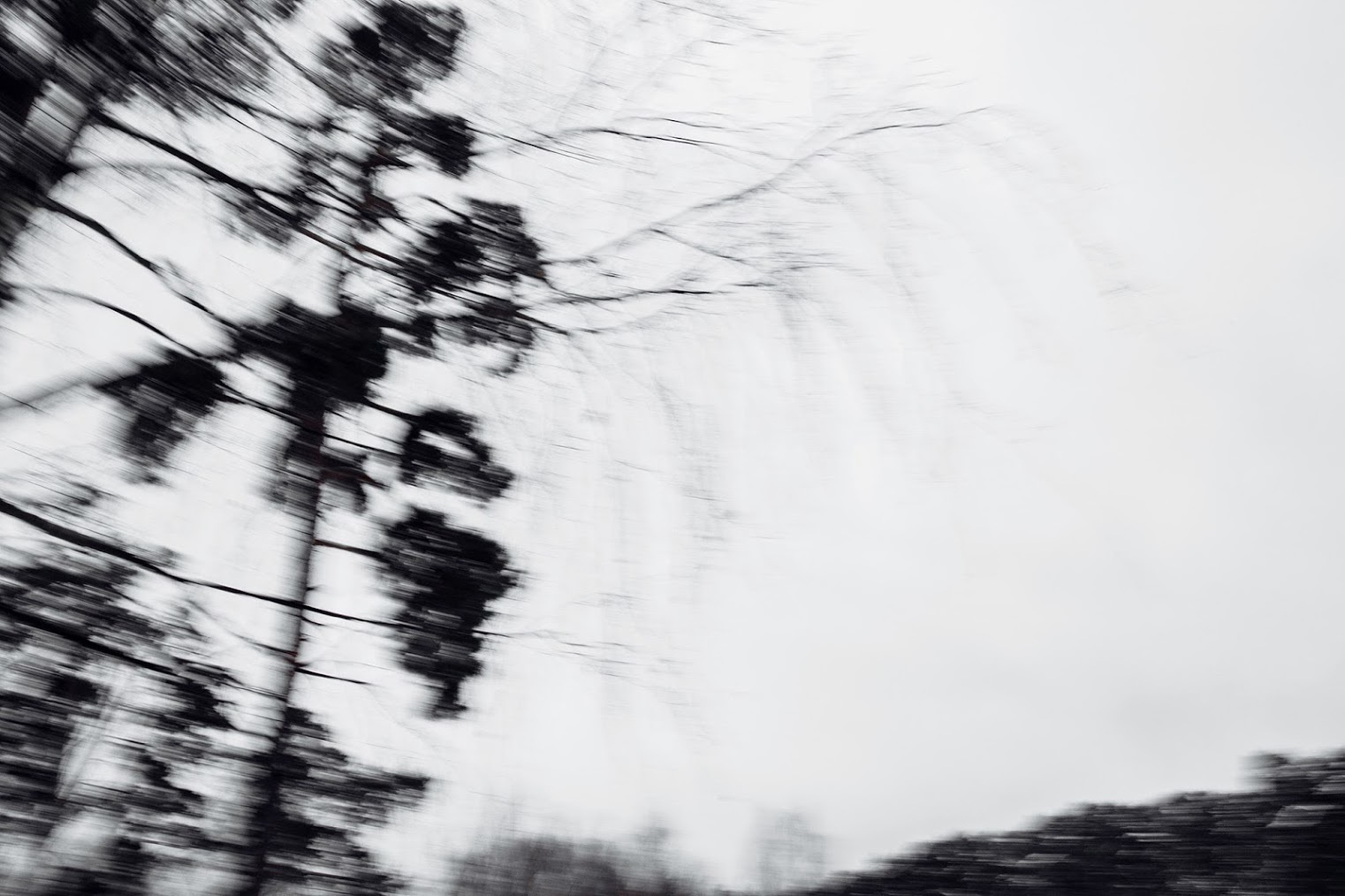 Метаморфозы любви. Inspiration проект. Фотограф Игорь Цаплин