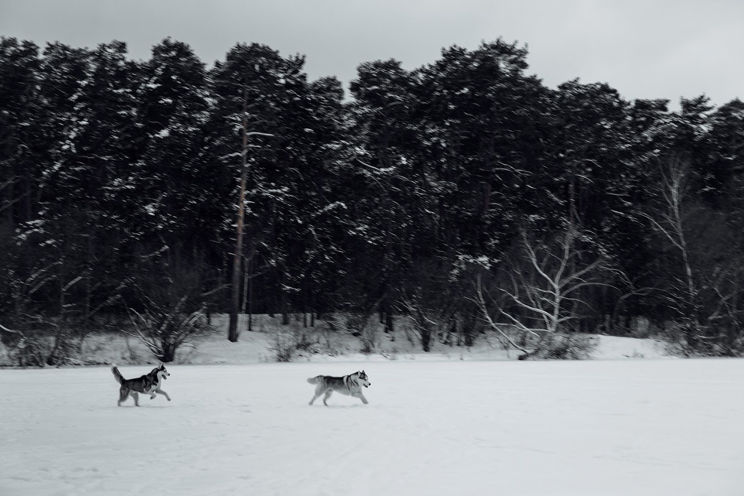 Метаморфозы любви. Inspiration проект. Фотограф Игорь Цаплин