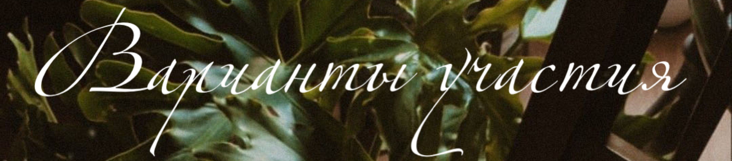 «Ты красивая!», авторский курс стилиста Алены Калистратовой. Алена Калистратова. Стилист, исследователь моды