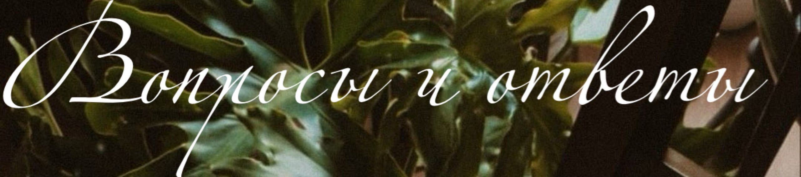 «Ты красивая!», авторский курс стилиста Алены Калистратовой. Алена Калистратова. Стилист, исследователь моды