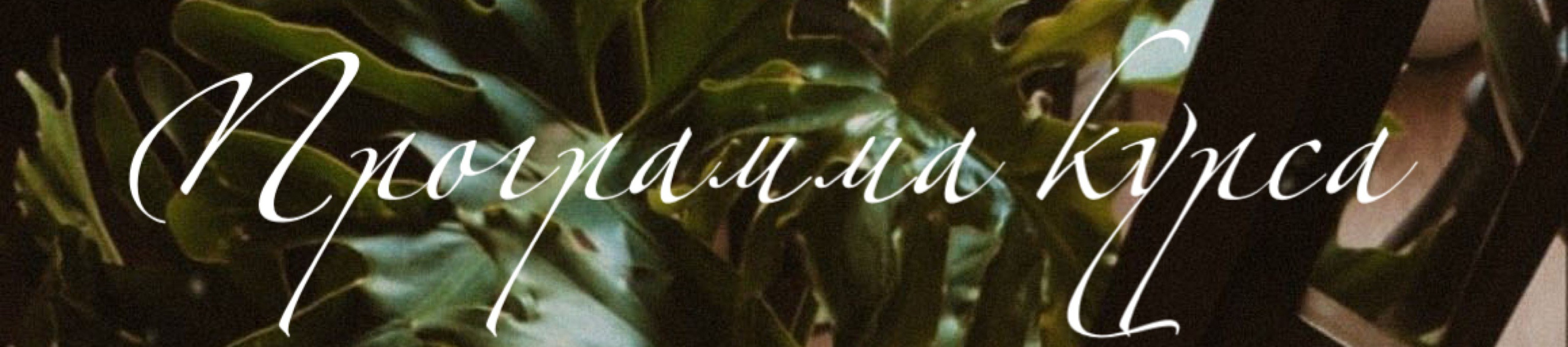 «Ты красивая!», авторский курс стилиста Алены Калистратовой. Алена Калистратова. Стилист, исследователь моды