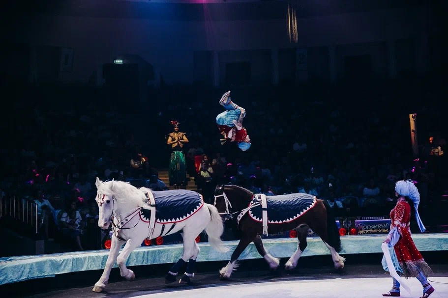 В Перми состоялась премьера шоу Гии Эрадзе «Песчаная сказка». Журнал о самом особенном. Пермь и Пермский край