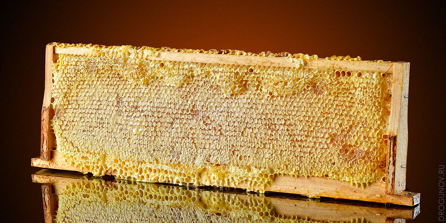 Имиджевая съёмка предметов для маркетплейсов в Москве