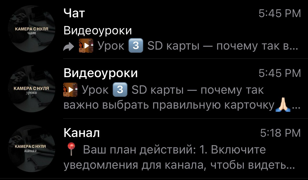 Камера с нуля. Фотограф — Анималист | Санкт-Петербург