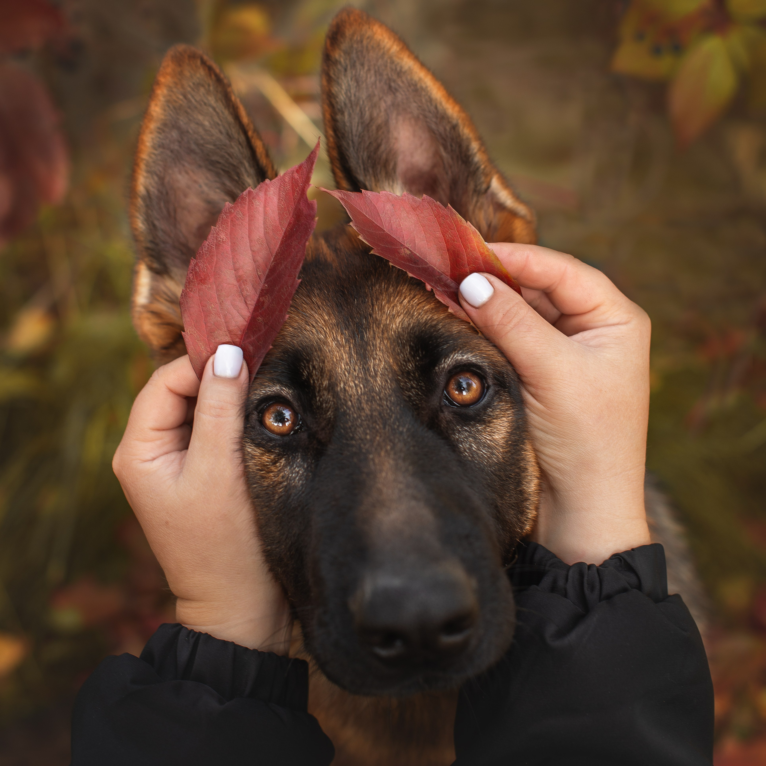 Фотограф — анималист, семейный фотограф — Татьяна Рыбцева