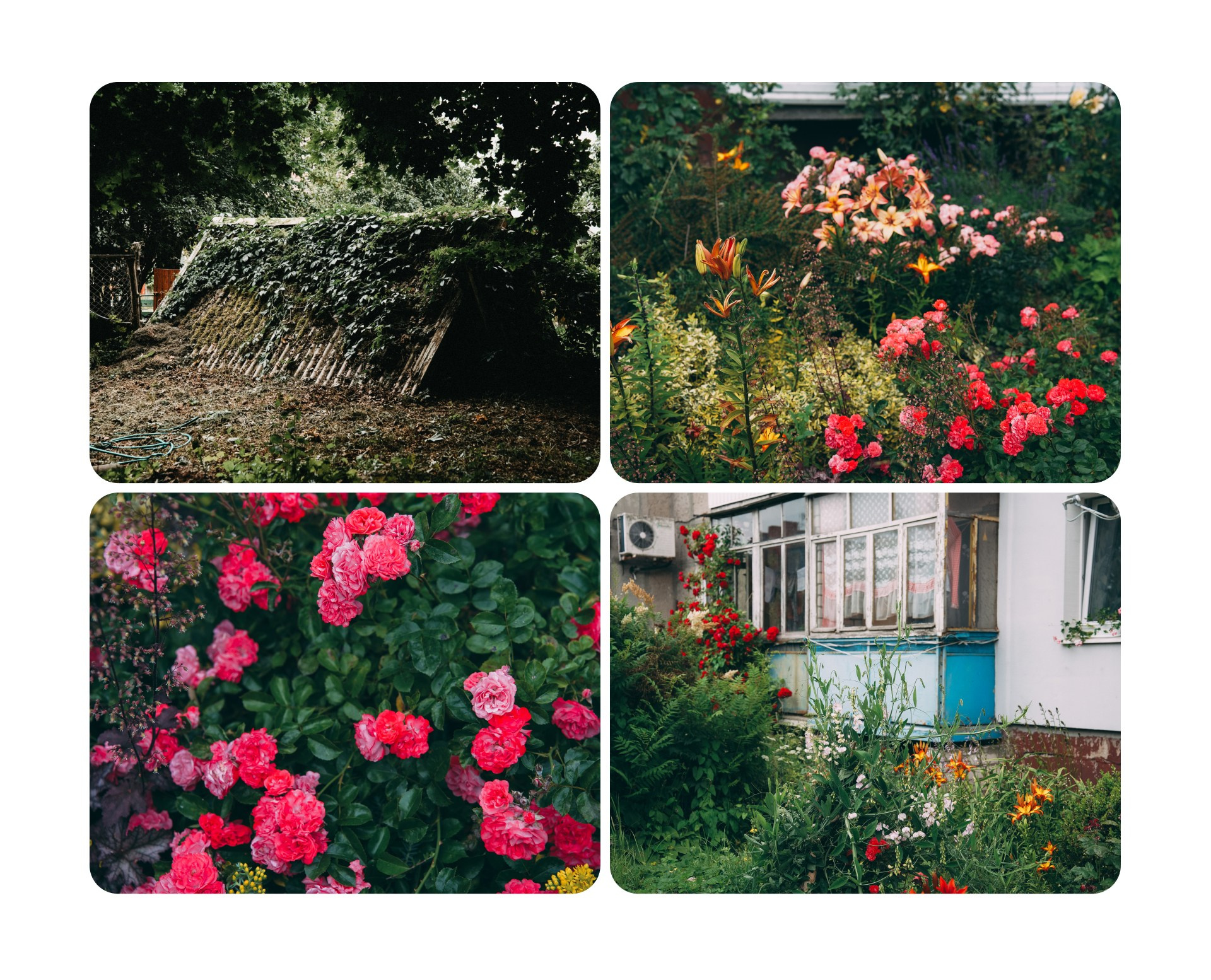 Калининград 1. Фотограф из Москвы — DASHA NOVA | Авторская фотография в разных жанрах