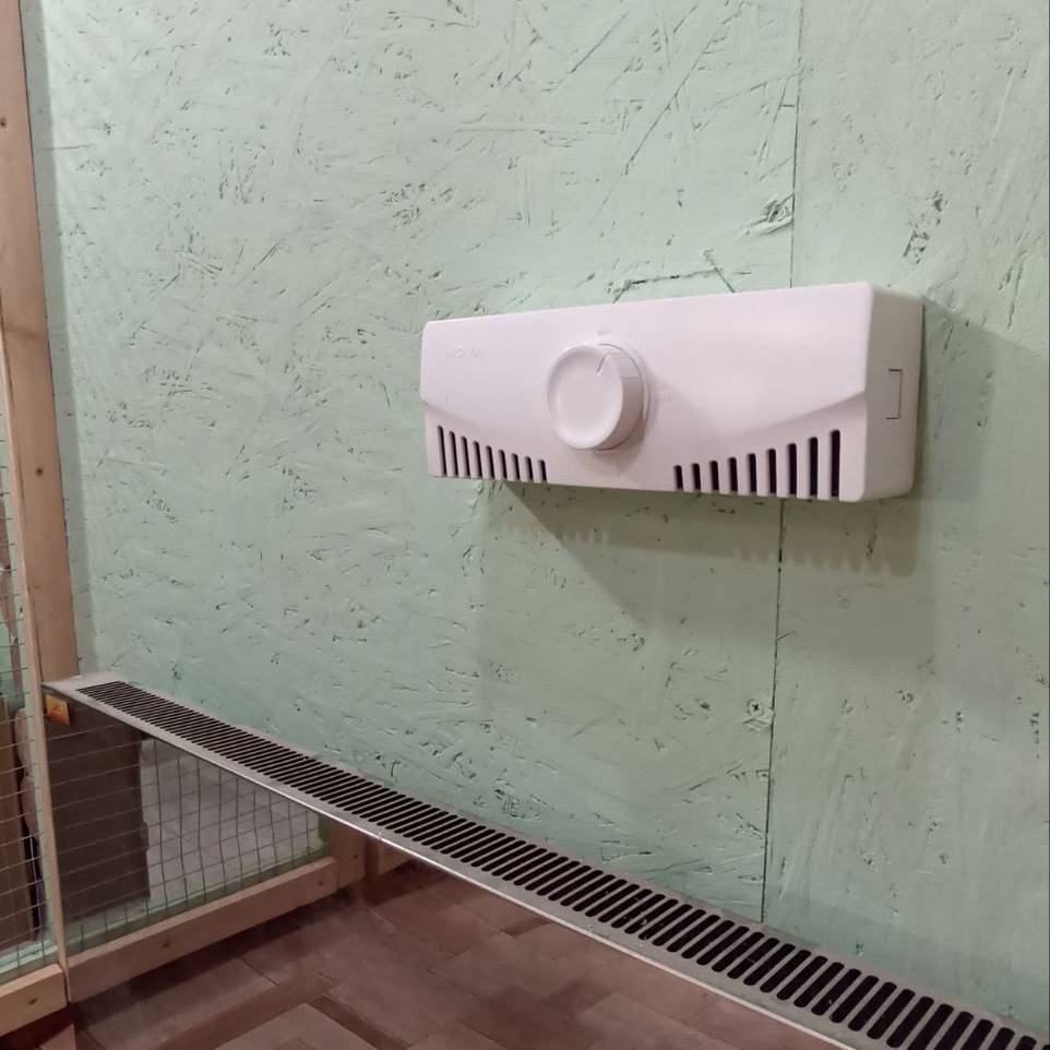 Гостиница для кошек Усики и хвостики, Красноярск