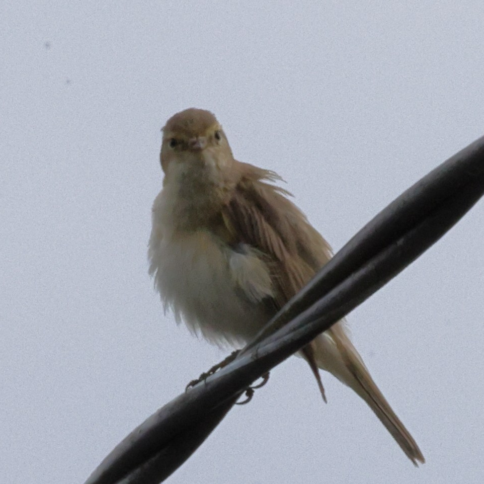Выходные 7–8 июня