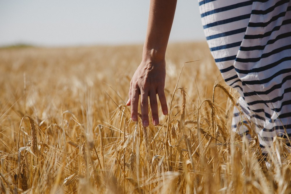 Услуги. Фотограф в Москве — Ольга Федотова