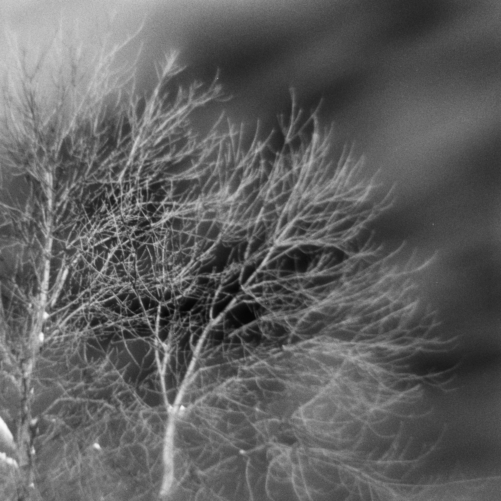 Contacts. Photographer