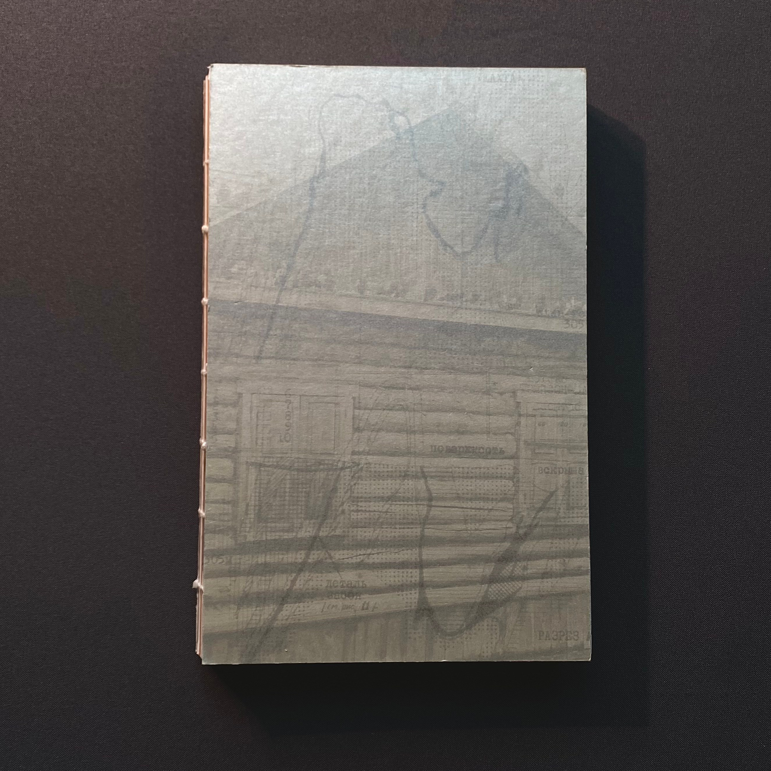 Лаборатория авторской фотокниги (апрель–май). Самоорганизация Низина