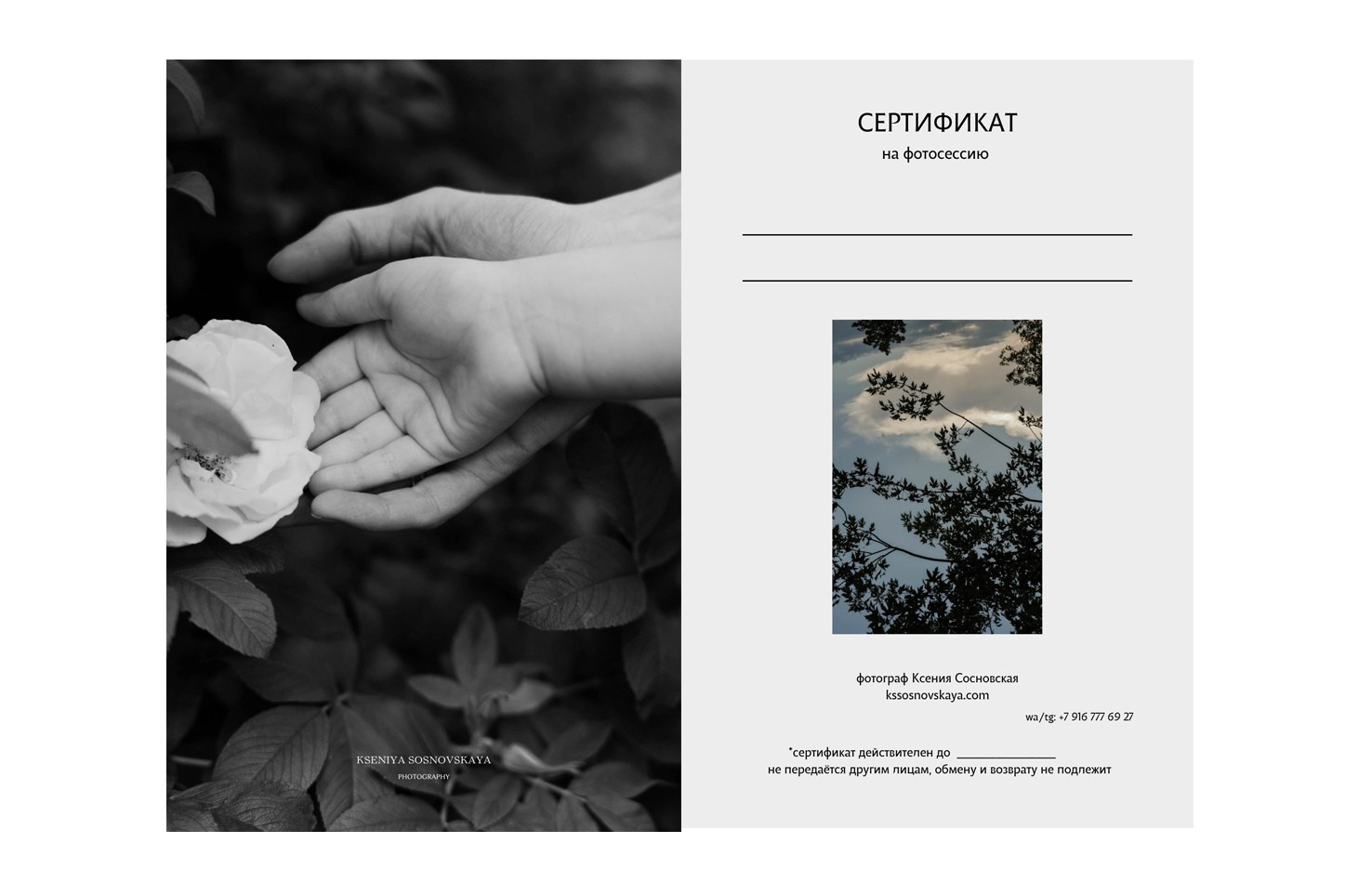 Услуги. ФОТОГРАФ КСЕНИЯ СОСНОВСКАЯ