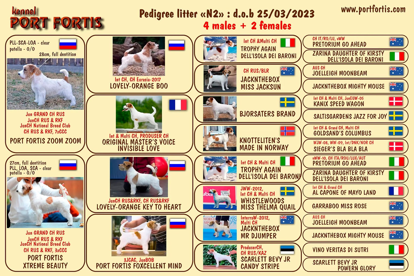 Port Fortis Nord Star