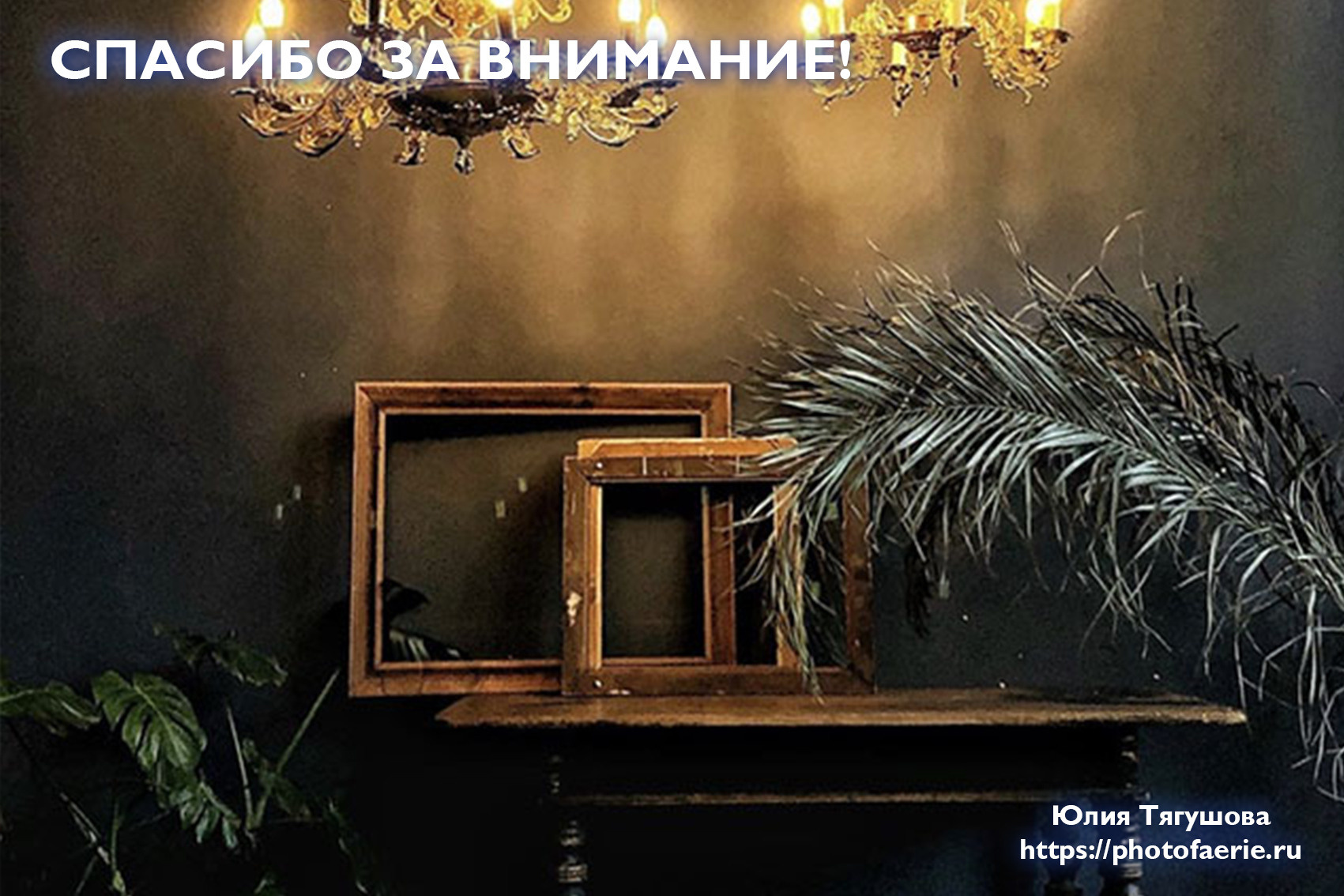 Цены, отражающие качество. Fine Art & Fashion фотограф в Москве Тягушова Юлия