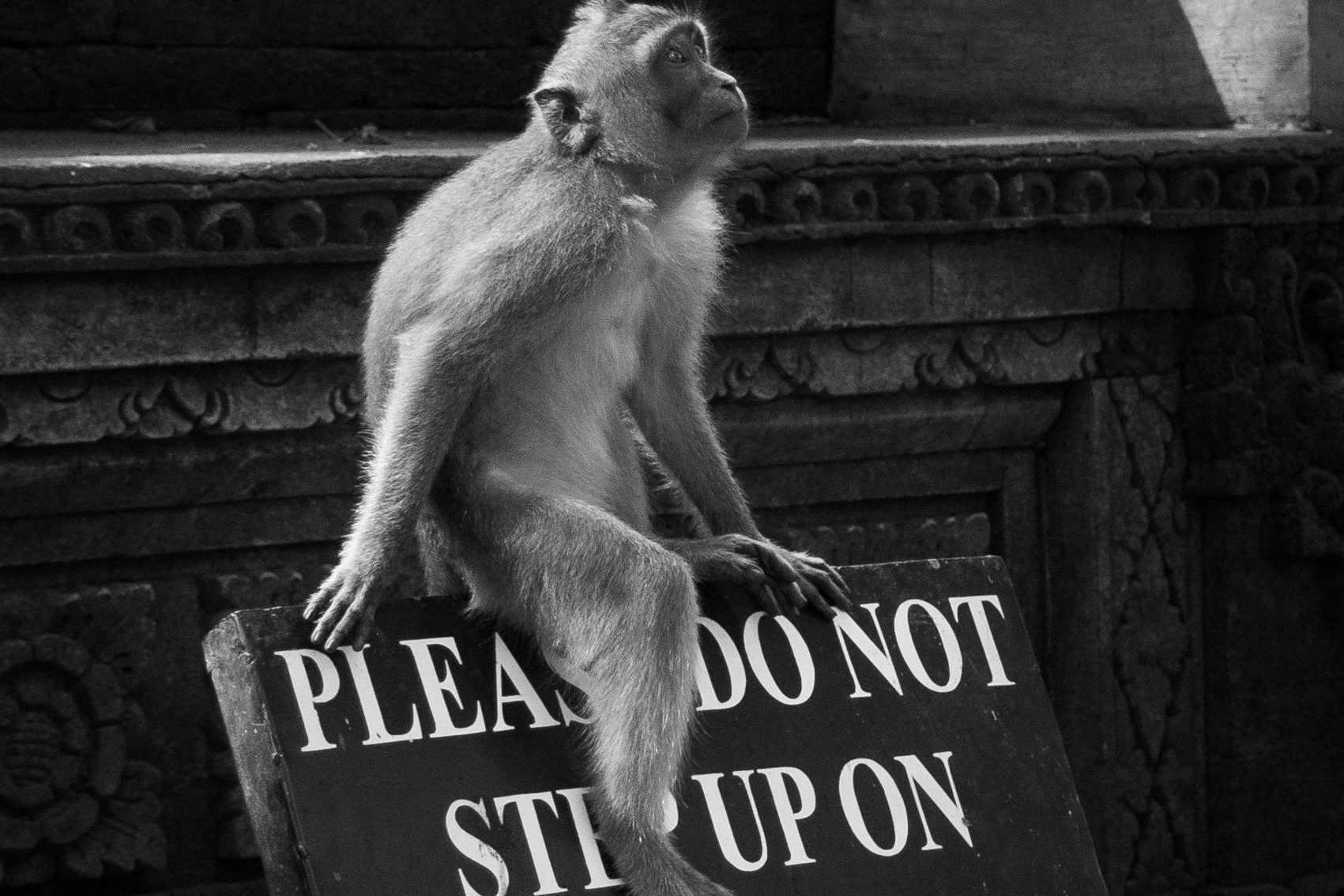 Film VS Digital. Unposed Society Moscow | Фотограф Аникин Станислав