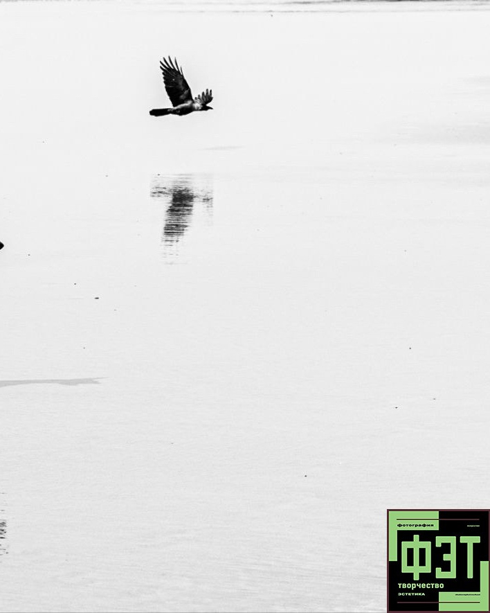 Наталья Переверзева