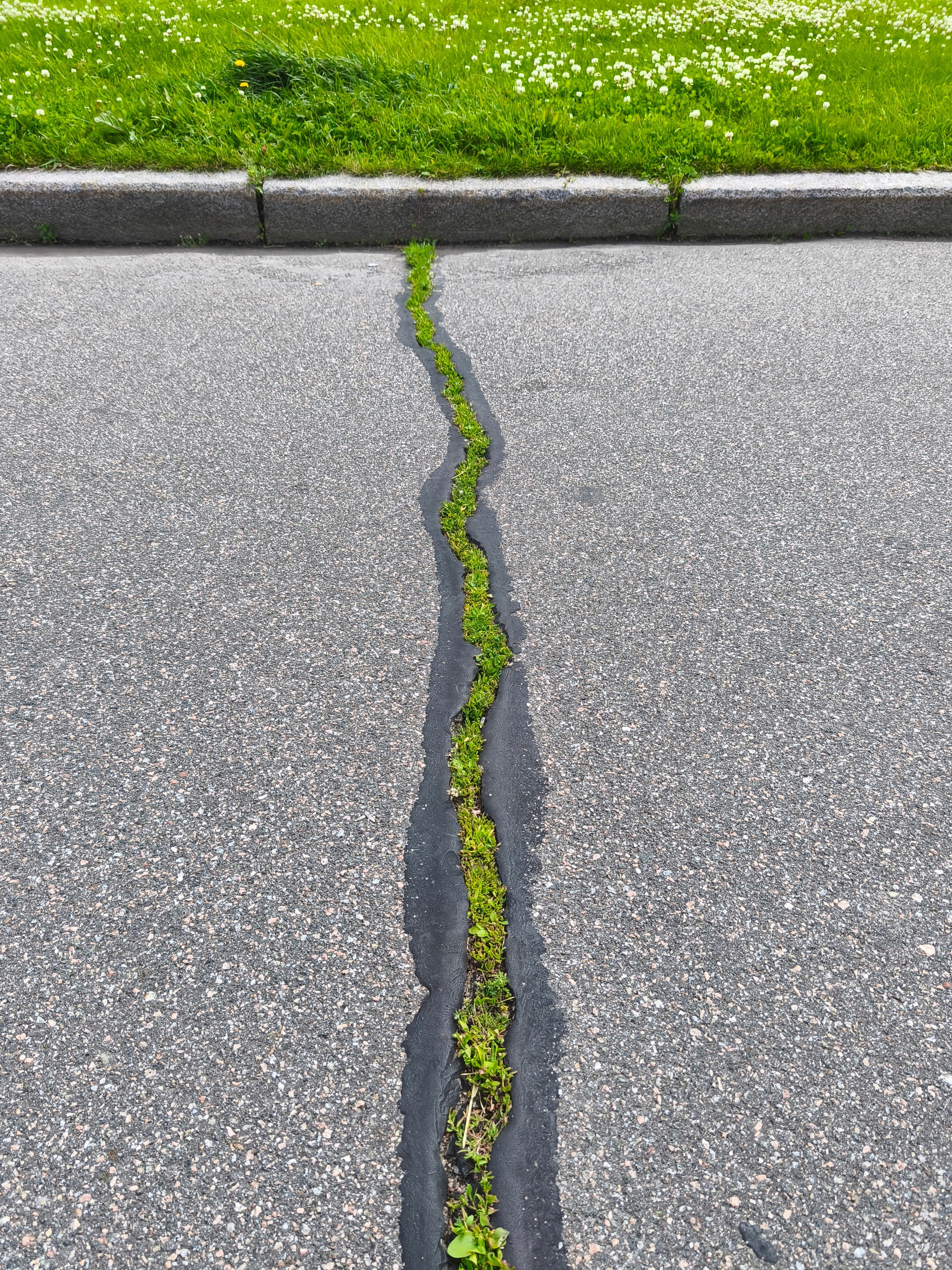 Одегова Дарья (Дарья Оши). ARTEXPOPHOTO