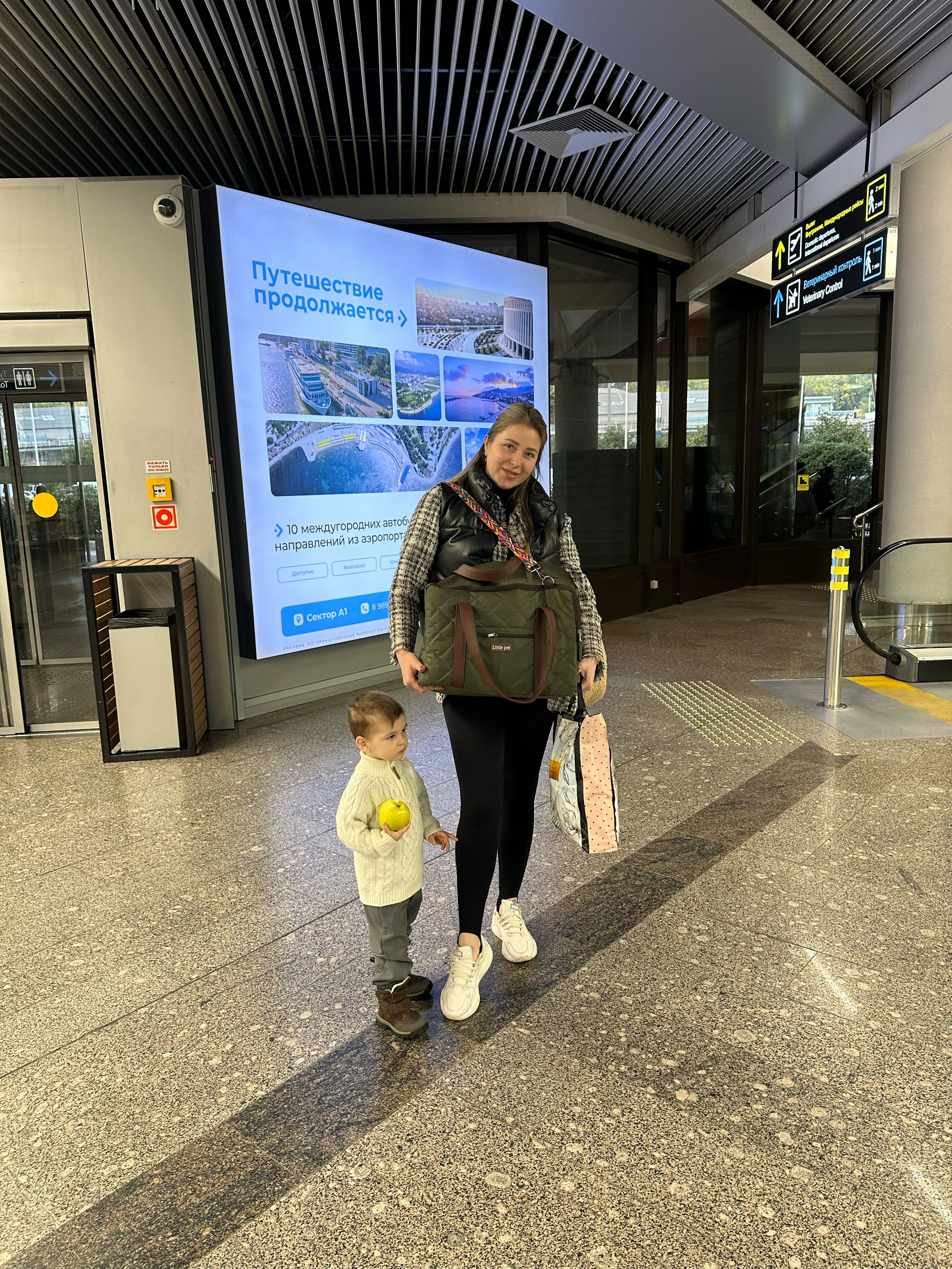 Доставка щенков по всему миру. Профессиональный питомник левреток РКФ/FCI ASTI SAPPHIRE 💎 Сочи|Санкт-Петербург