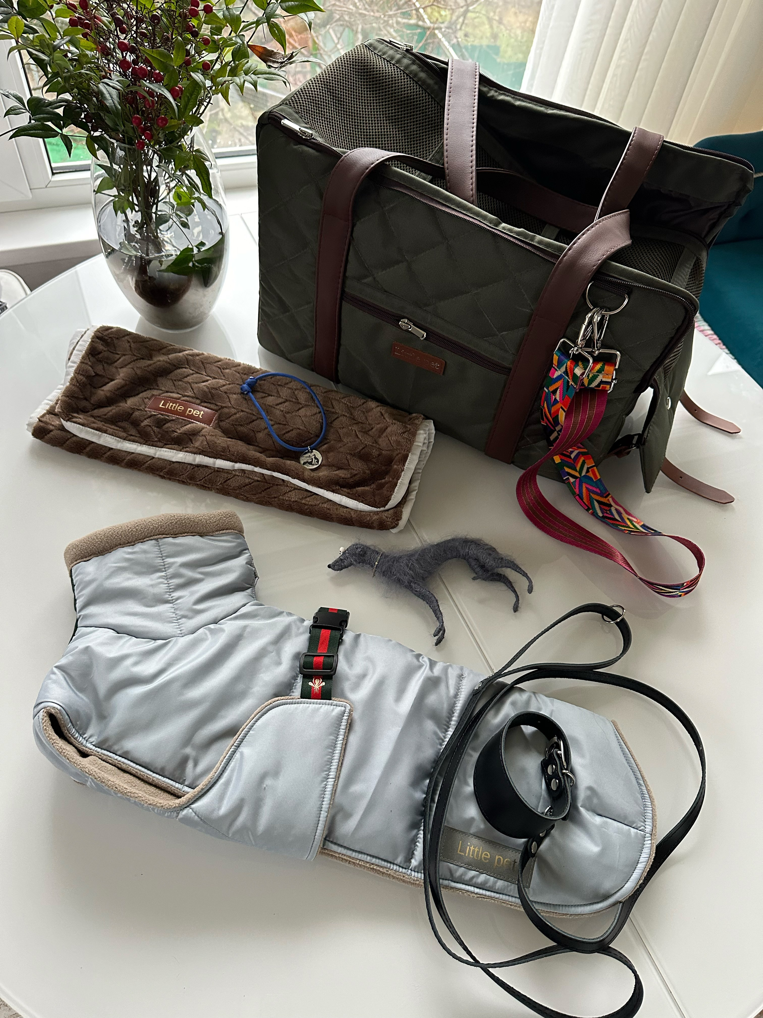 Доставка щенков по всему миру. Профессиональный питомник левреток РКФ/FCI ASTI SAPPHIRE 💎 Сочи|Санкт-Петербург