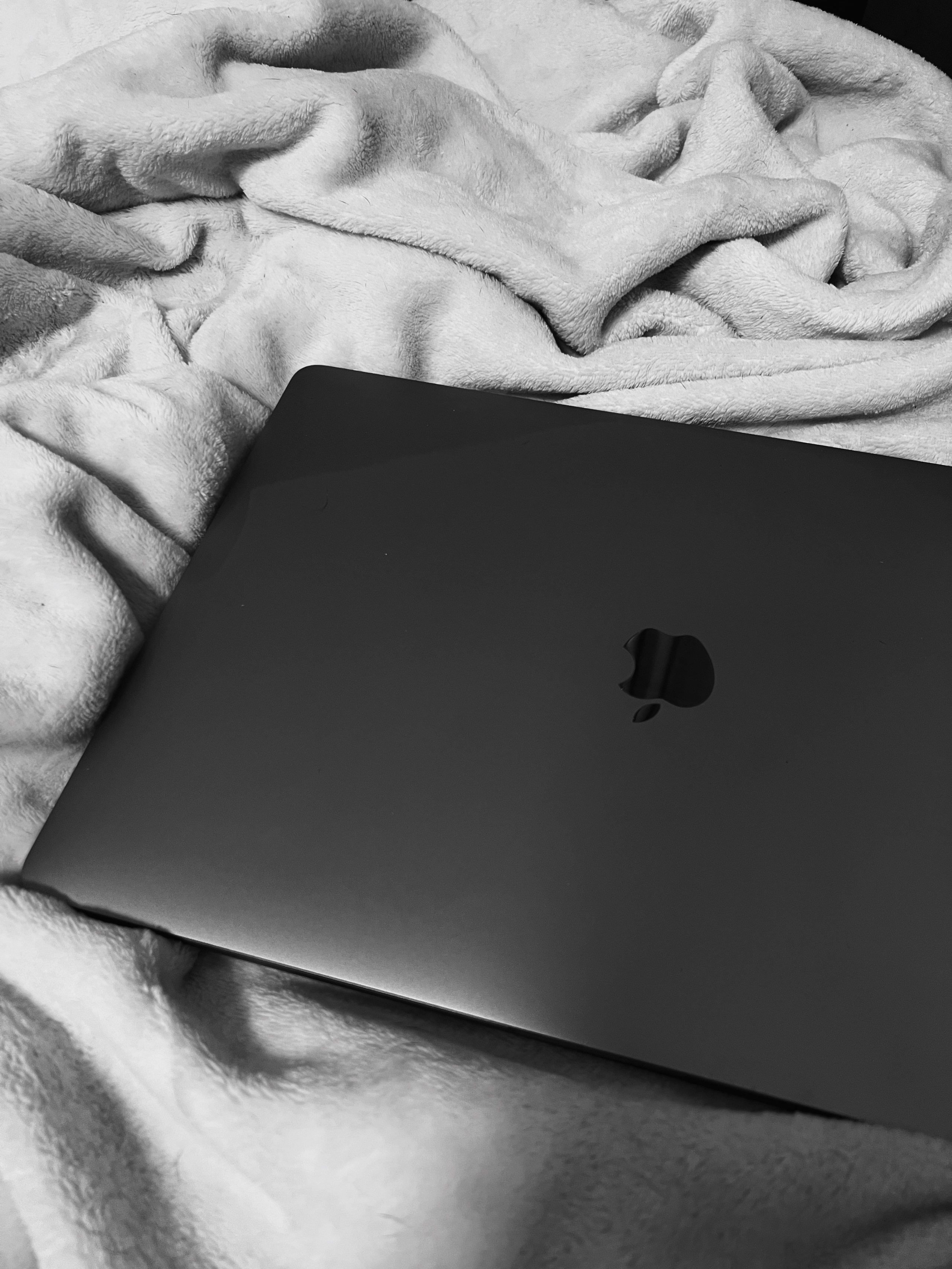 Фотограф-анималист в Санкт-Петербурге Алина Яхонт