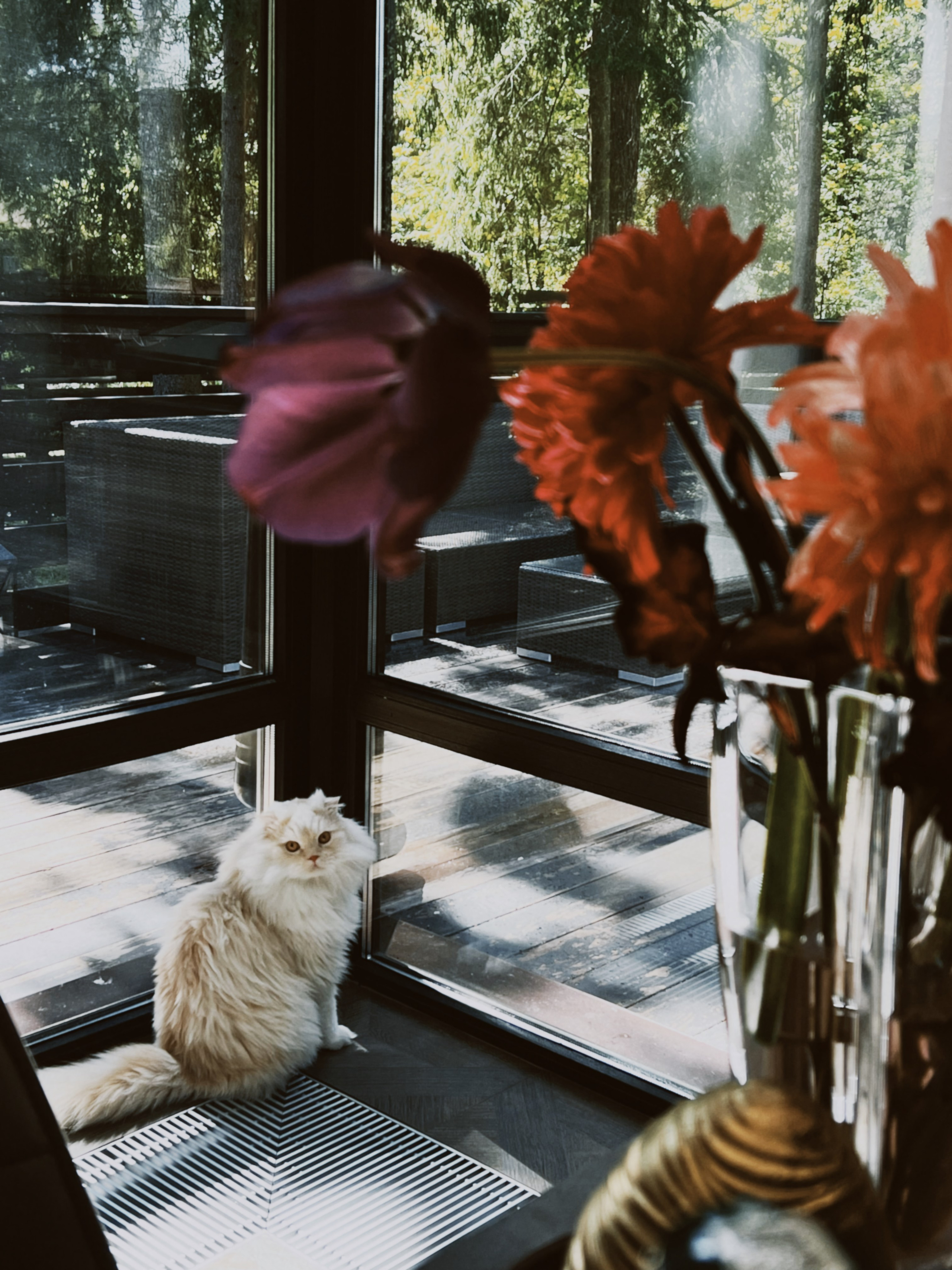 May throwbacks ♡︎. Фотограф Евгения Соул Москва