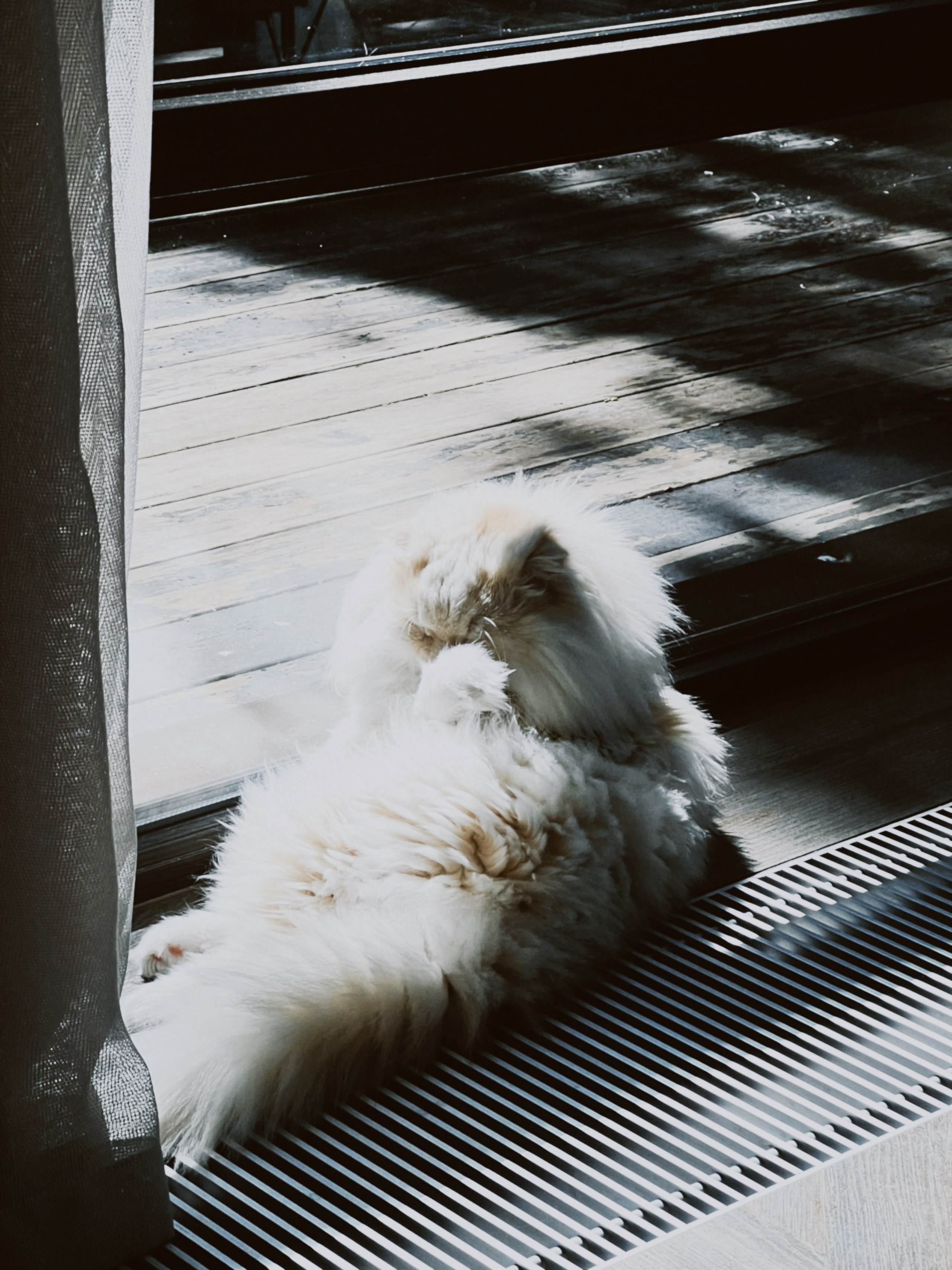 May throwbacks ♡︎. Фотограф Евгения Соул Москва