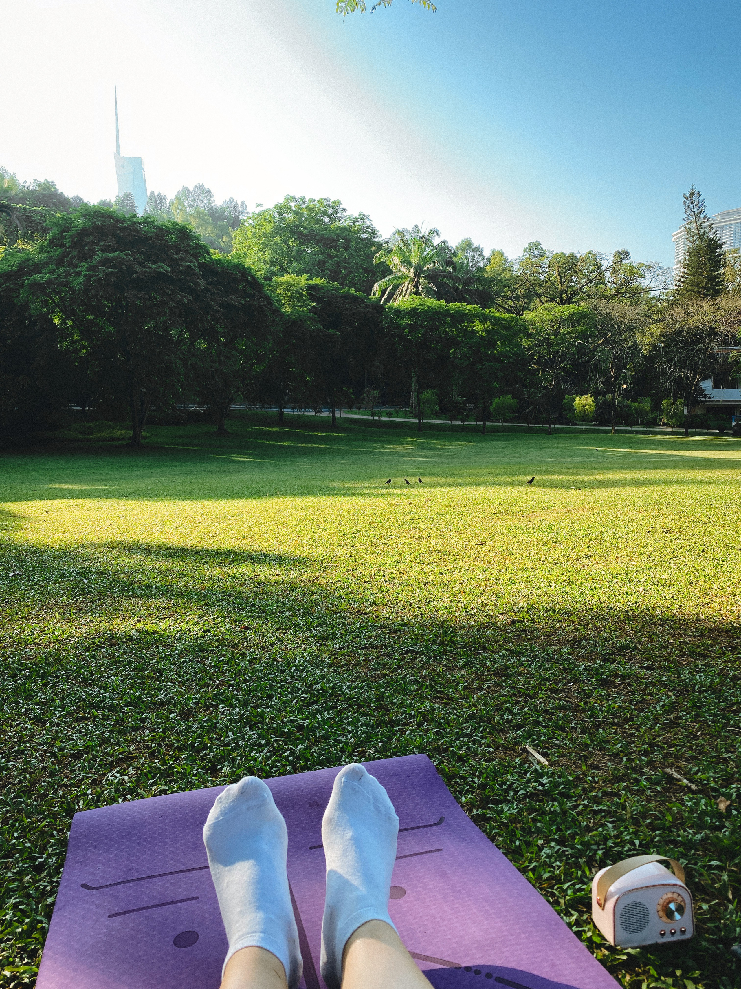 Ботанический сад • Perdana Botanical Gardens. Фотограф Катя Любина