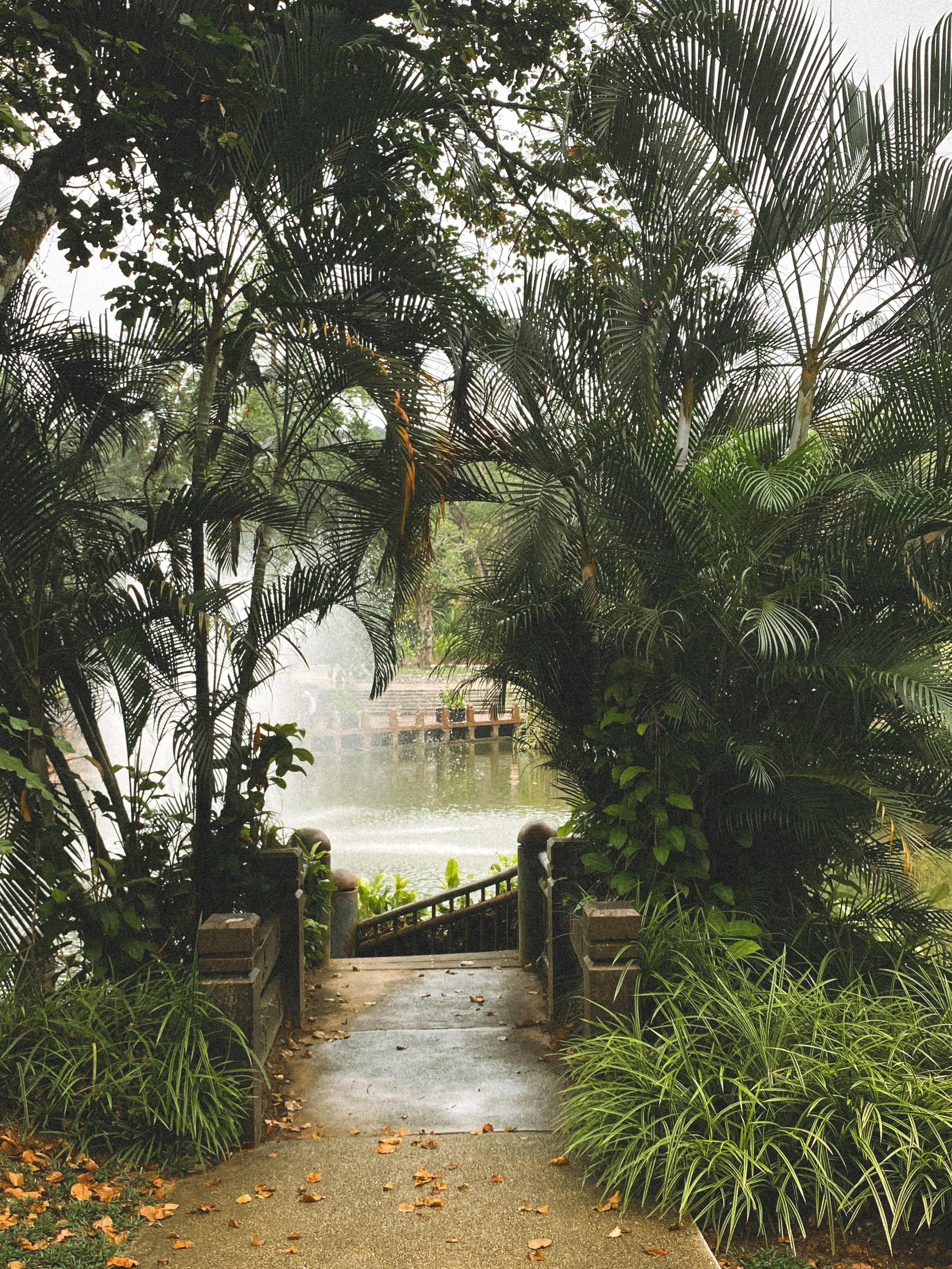 Ботанический сад • Perdana Botanical Gardens. Фотограф Катя Любина