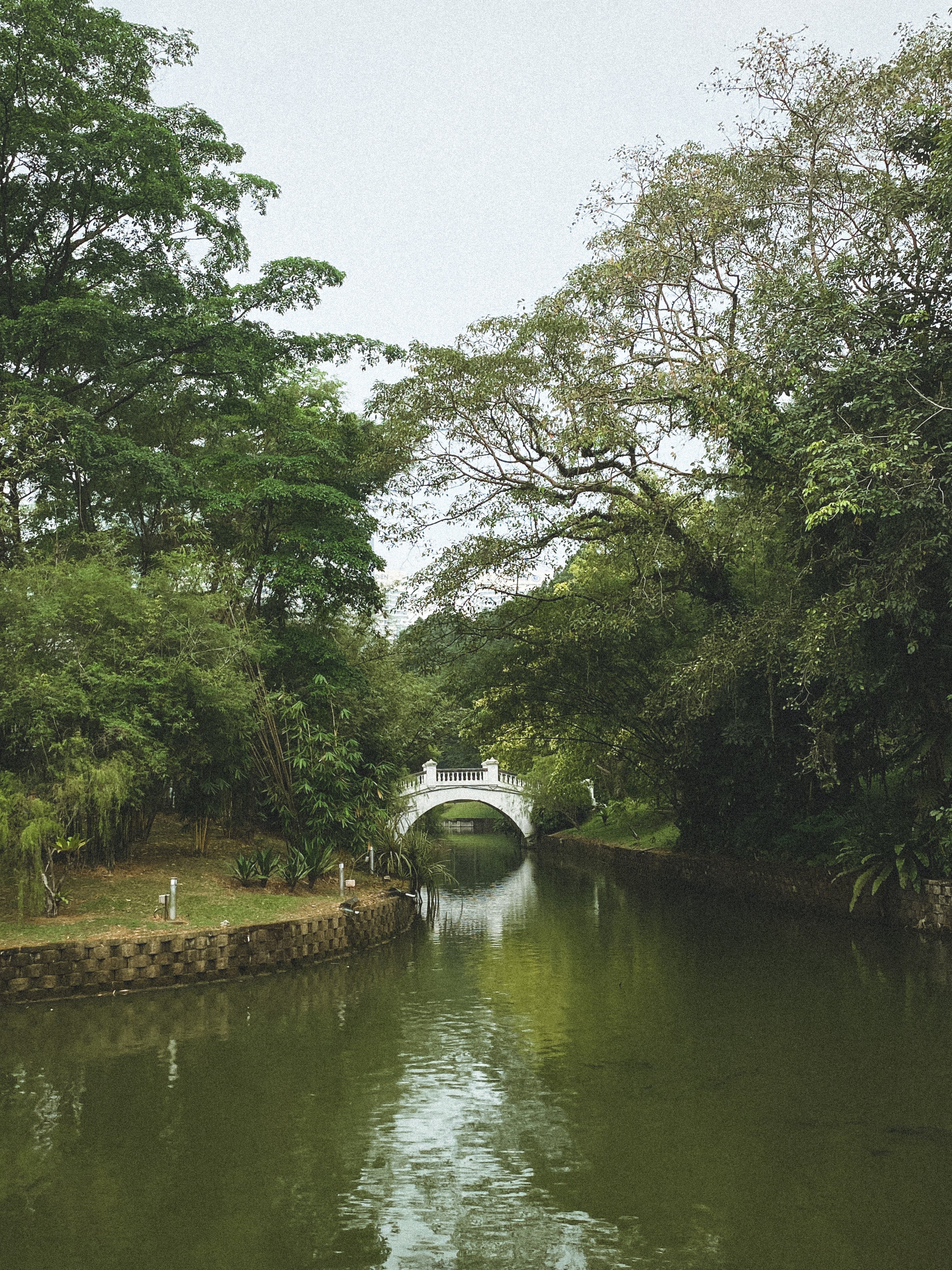 Ботанический сад • Perdana Botanical Gardens. Фотограф Катя Любина